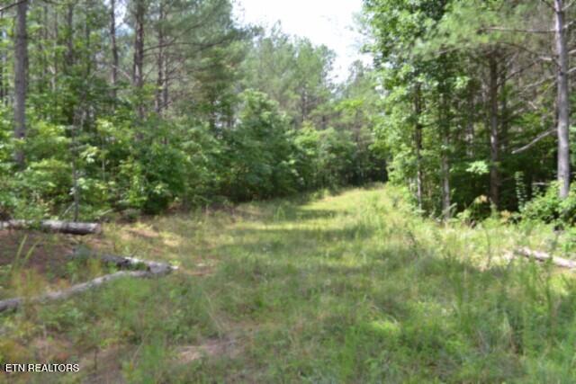 318 Rhodas Way Sunbright TN 37872