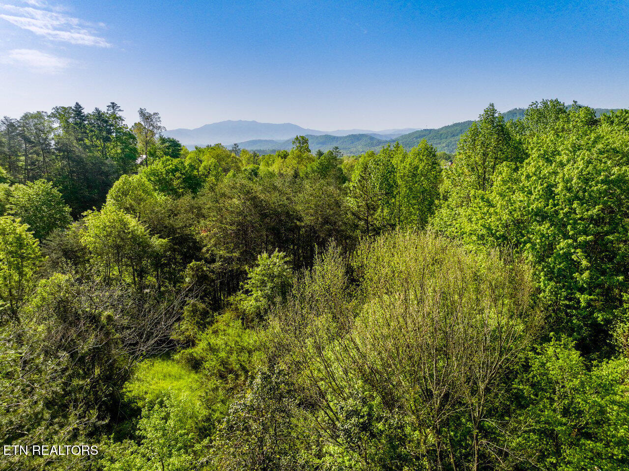 1140 Crestview Drive Pigeon Forge TN 37863