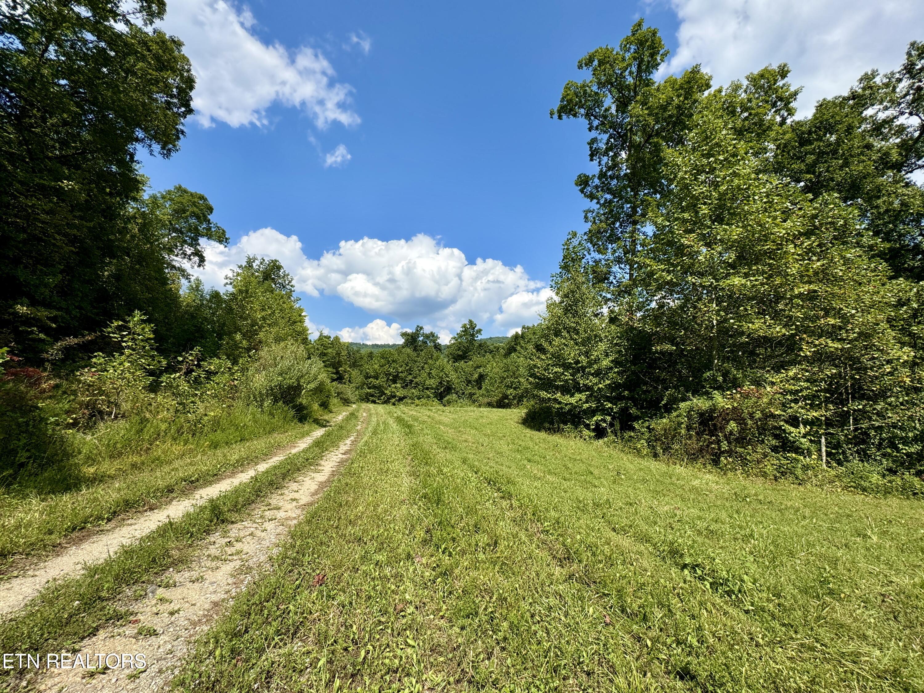 Stanley Creek Road Winfield TN 37892
