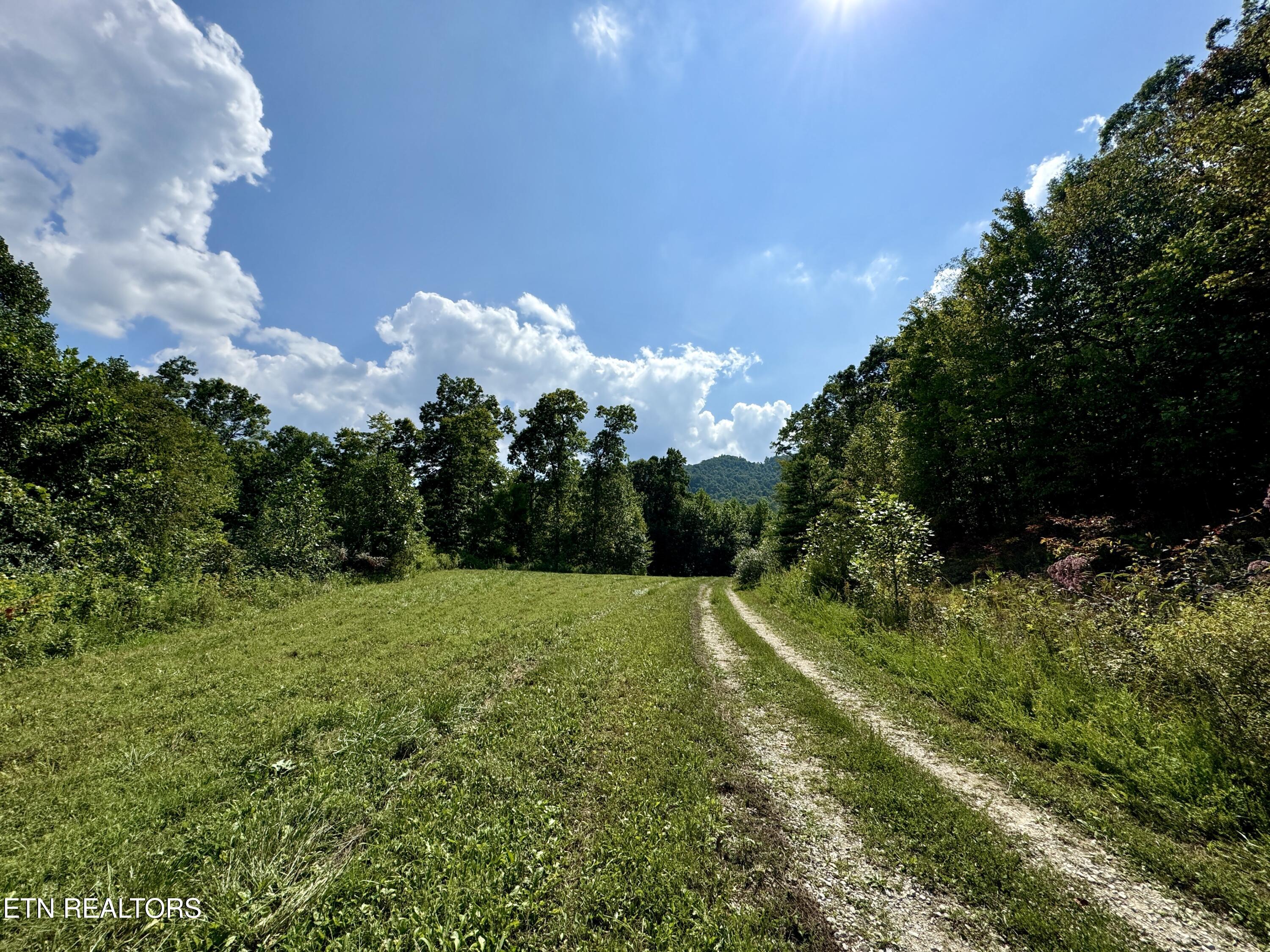 Stanley Creek Road Winfield TN 37892