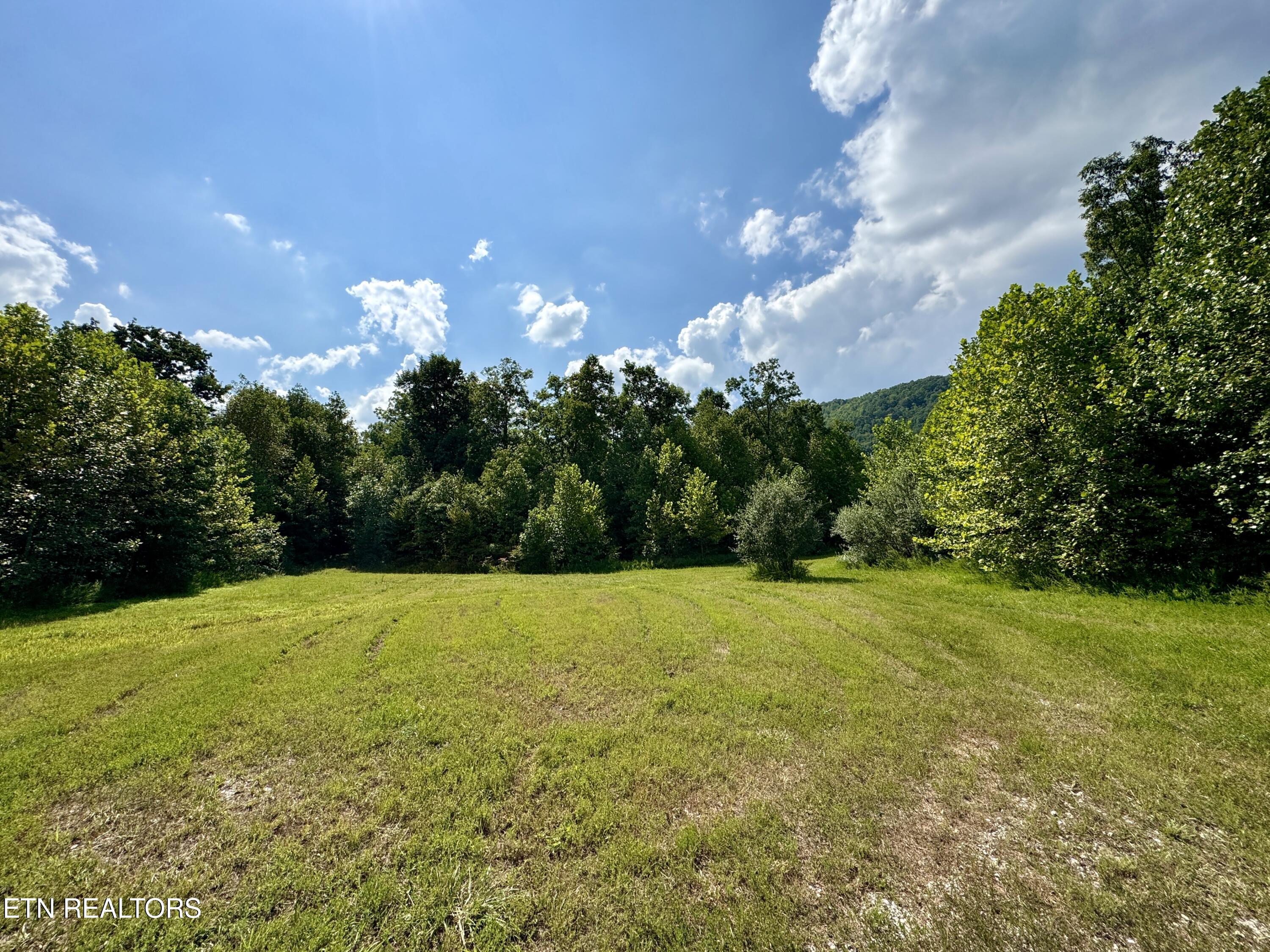 Stanley Creek Road Winfield TN 37892