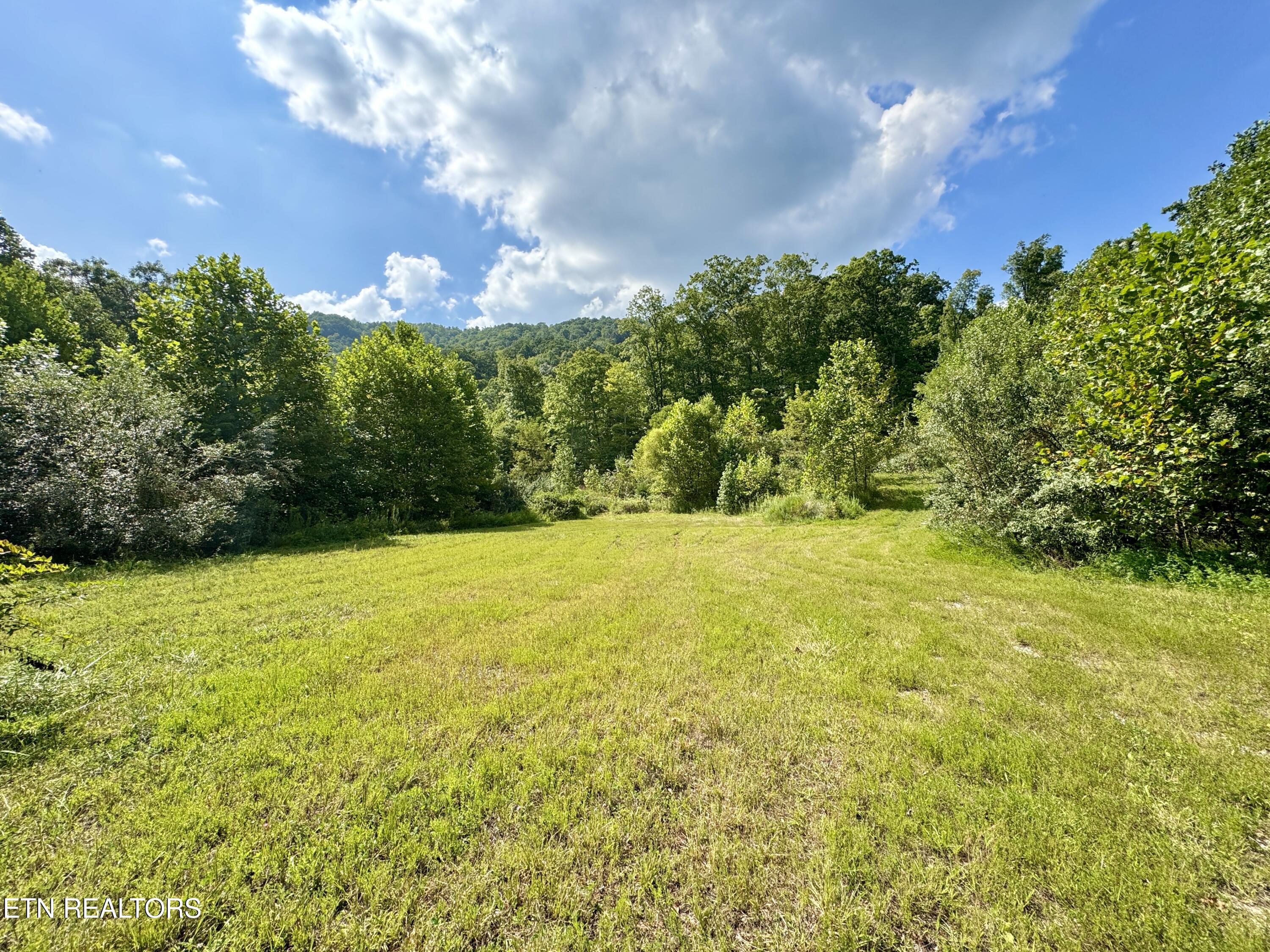 Stanley Creek Road Winfield TN 37892