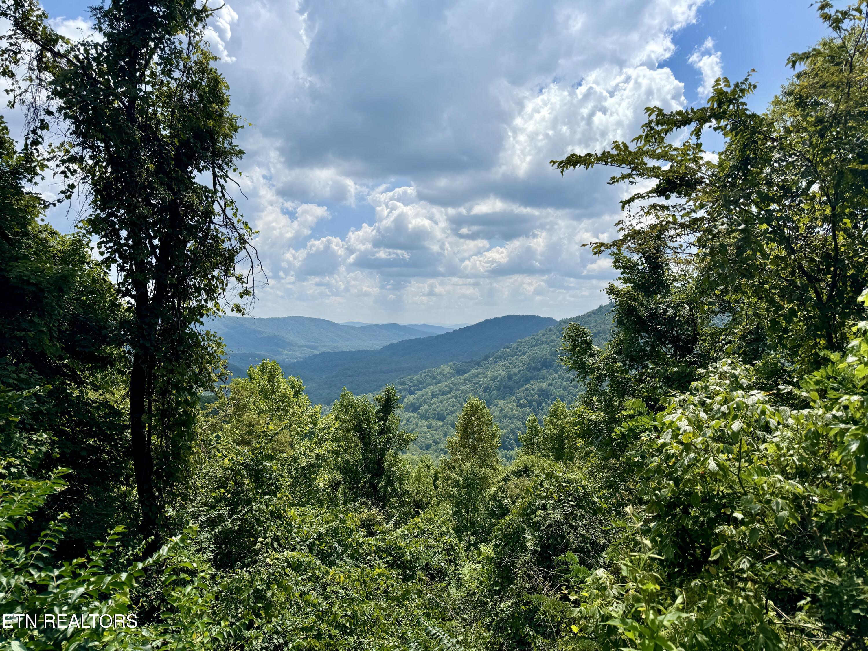 Stanley Creek Road Winfield TN 37892