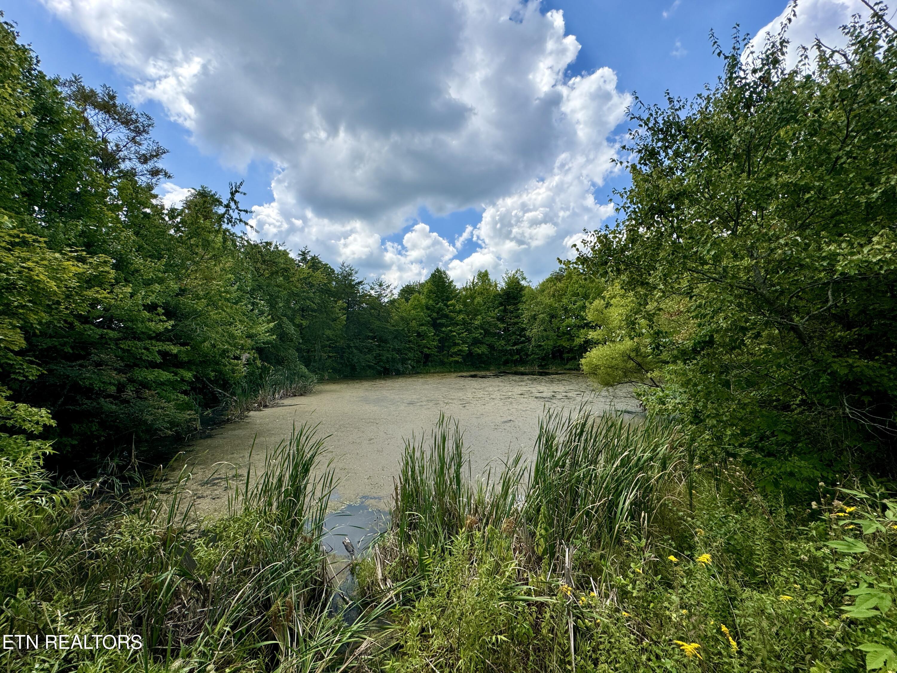 Stanley Creek Road Winfield TN 37892