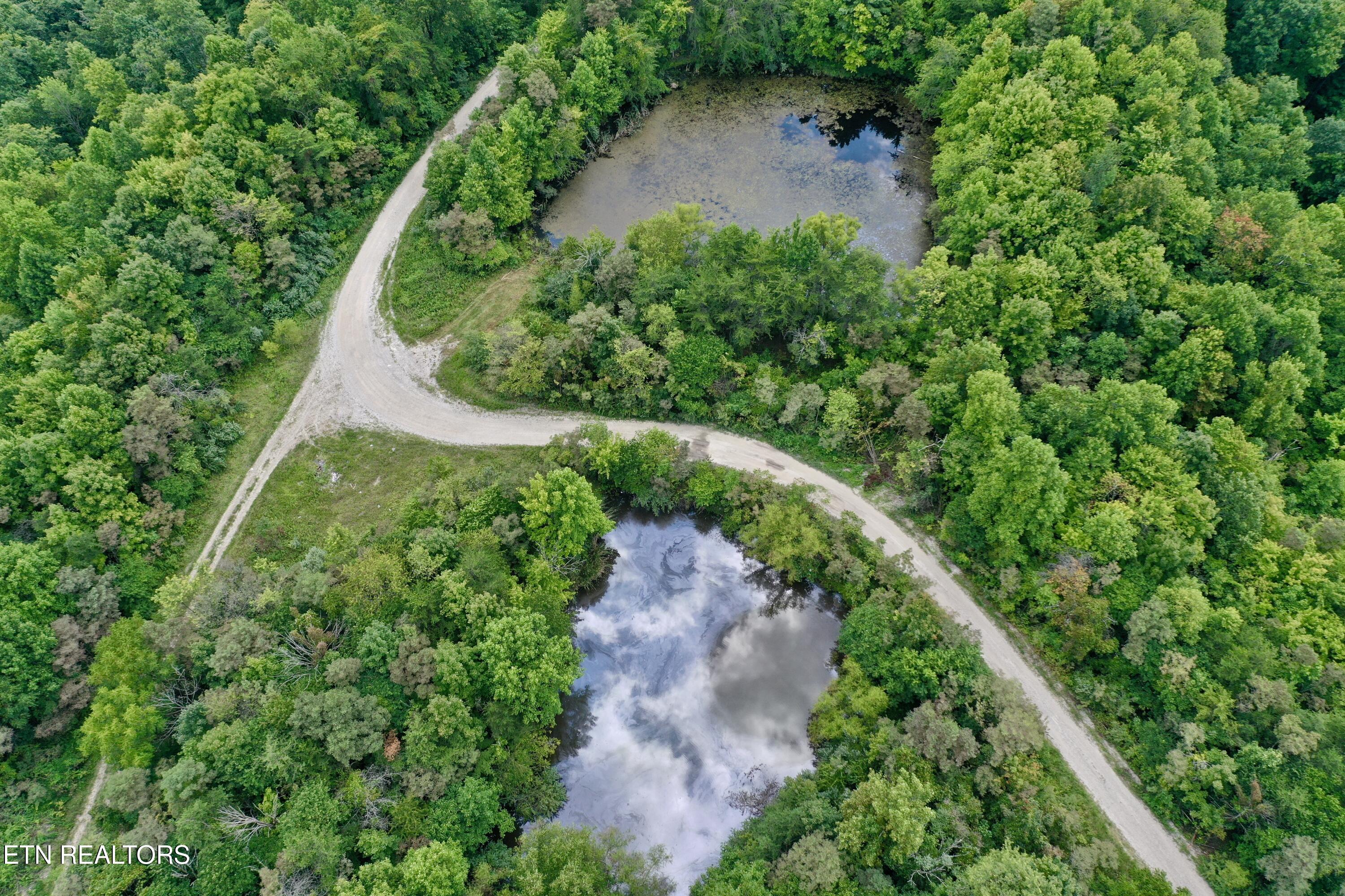 Stanley Creek Road Winfield TN 37892