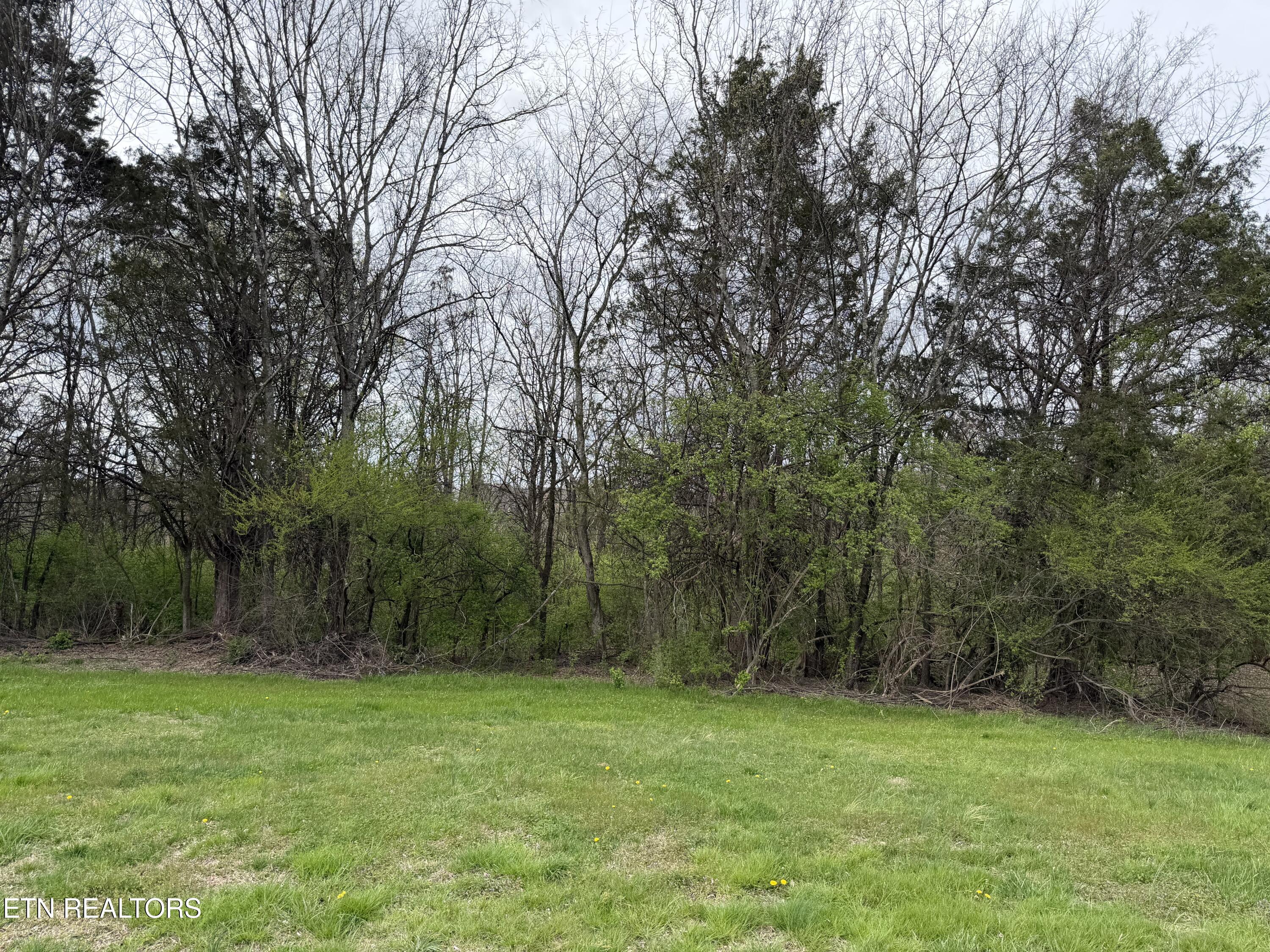 7424 Country Meadow Drive Knoxville TN 37918