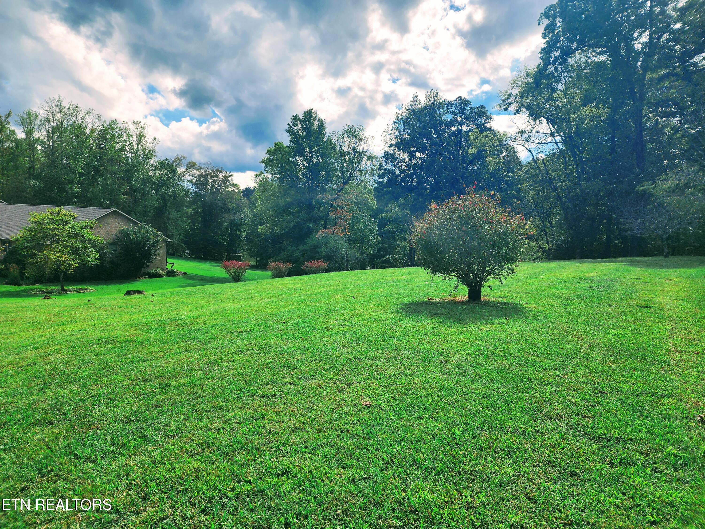 104 Azalea Circle Harriman TN 37748