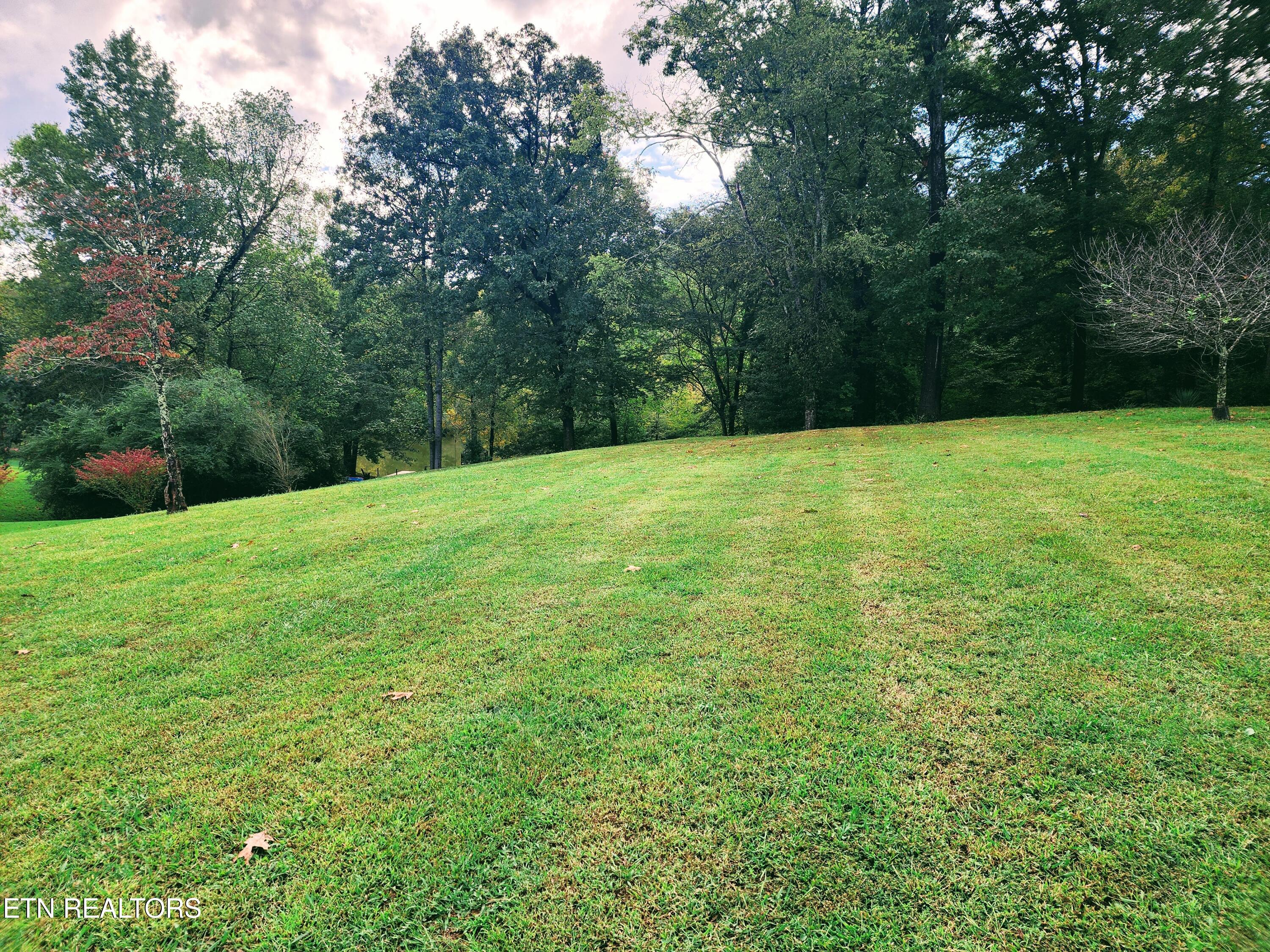 104 Azalea Circle Harriman TN 37748