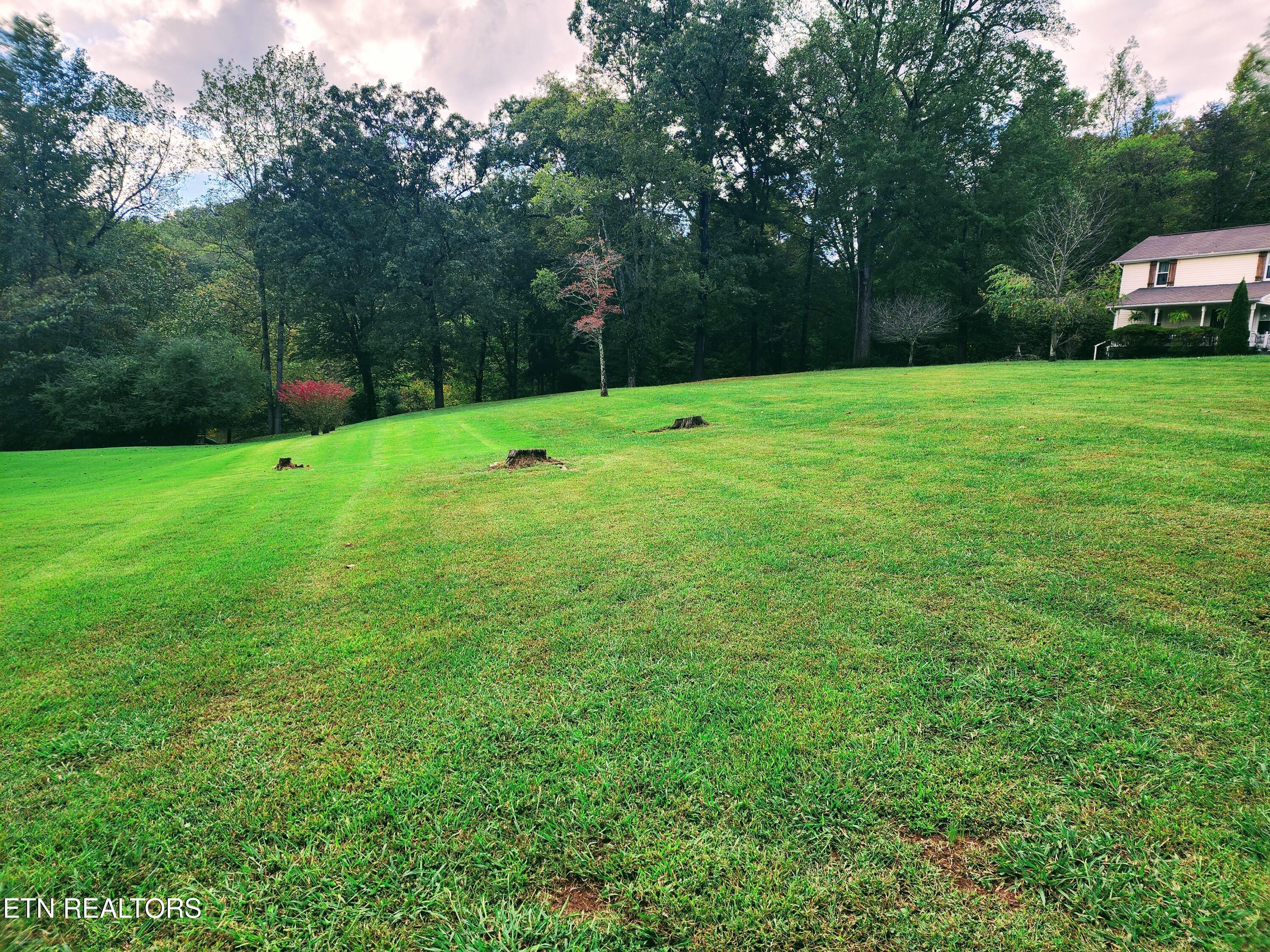 104 Azalea Circle Harriman TN 37748