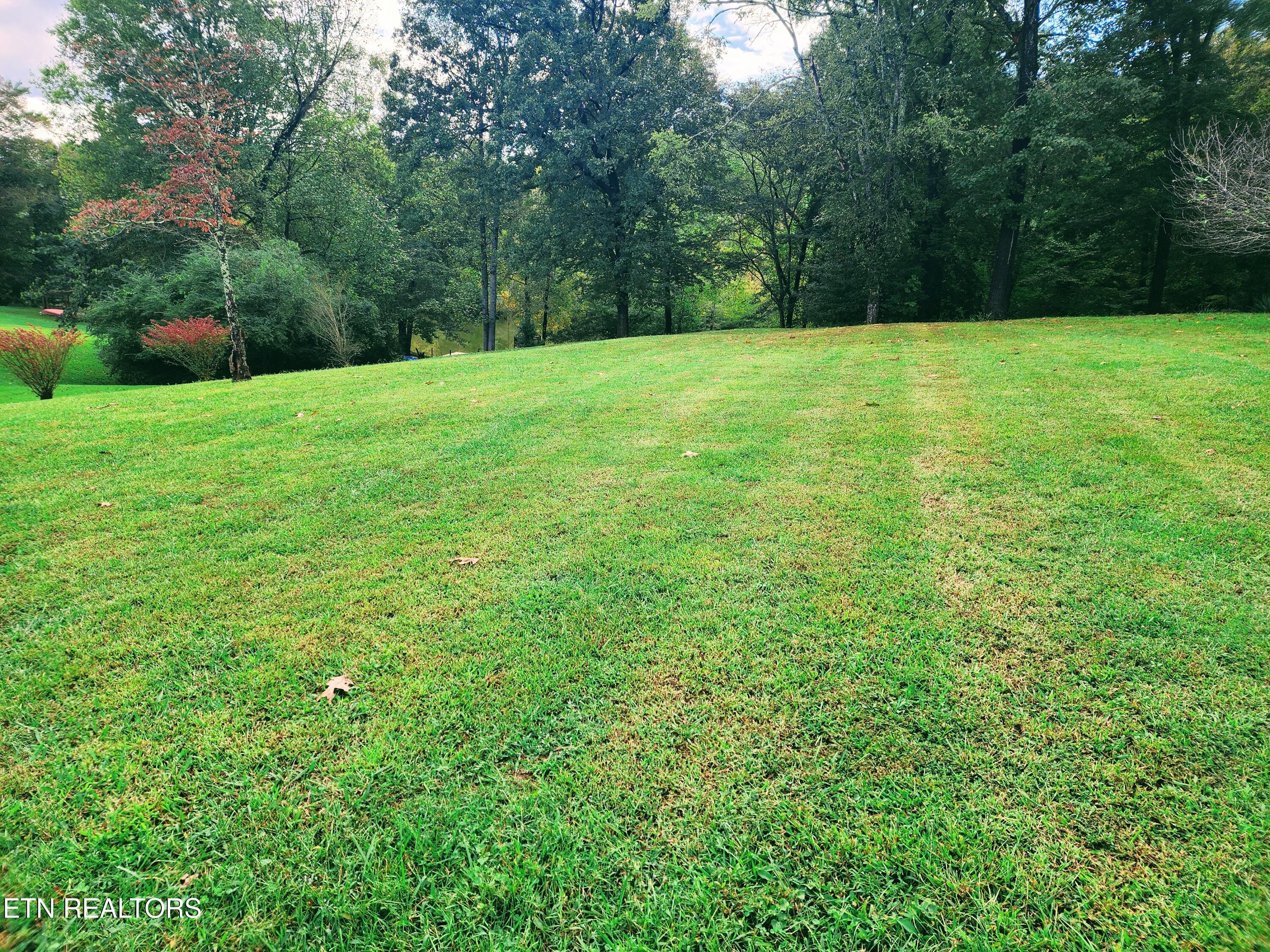 104 Azalea Circle Harriman TN 37748