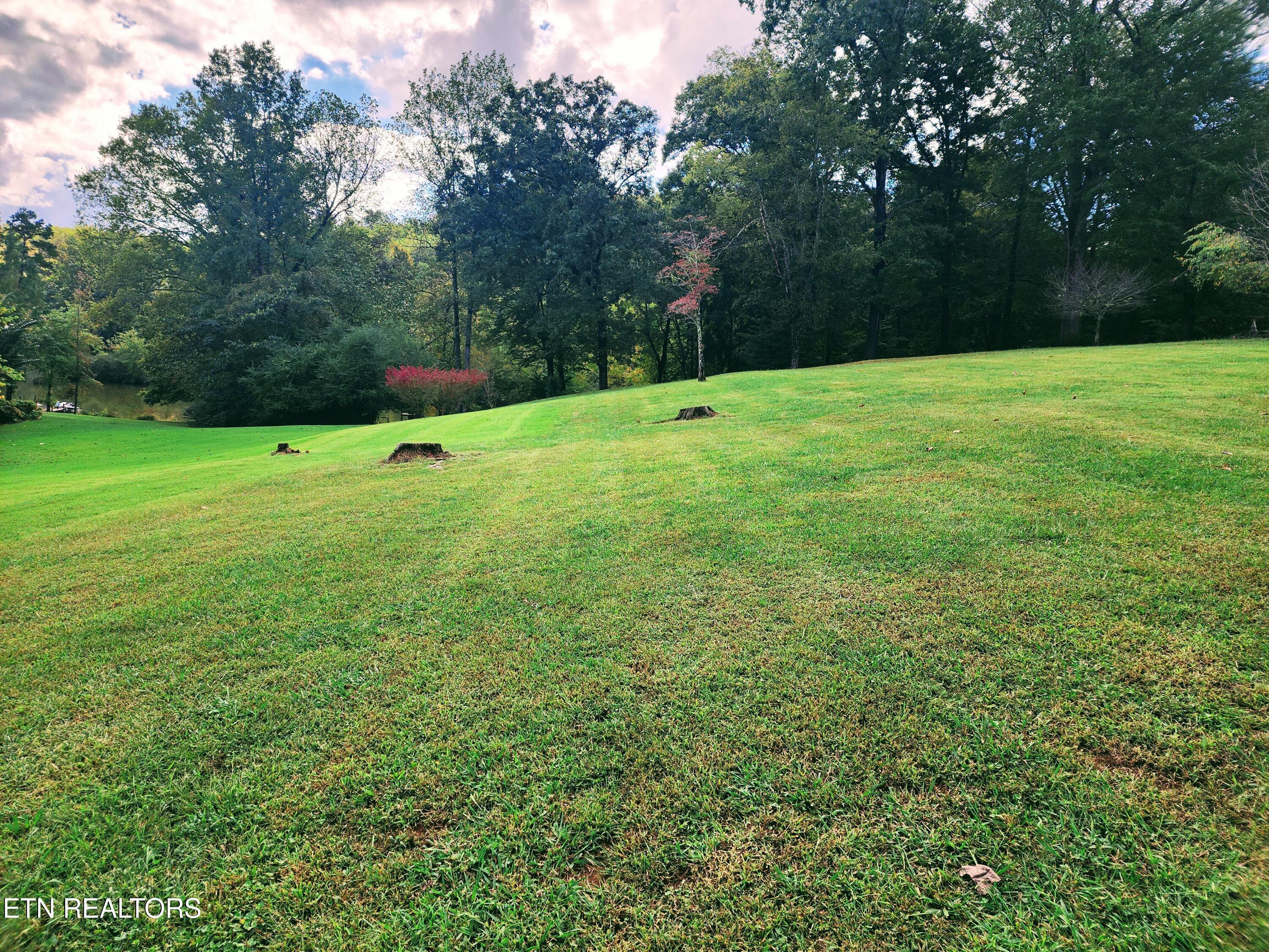 104 Azalea Circle Harriman TN 37748