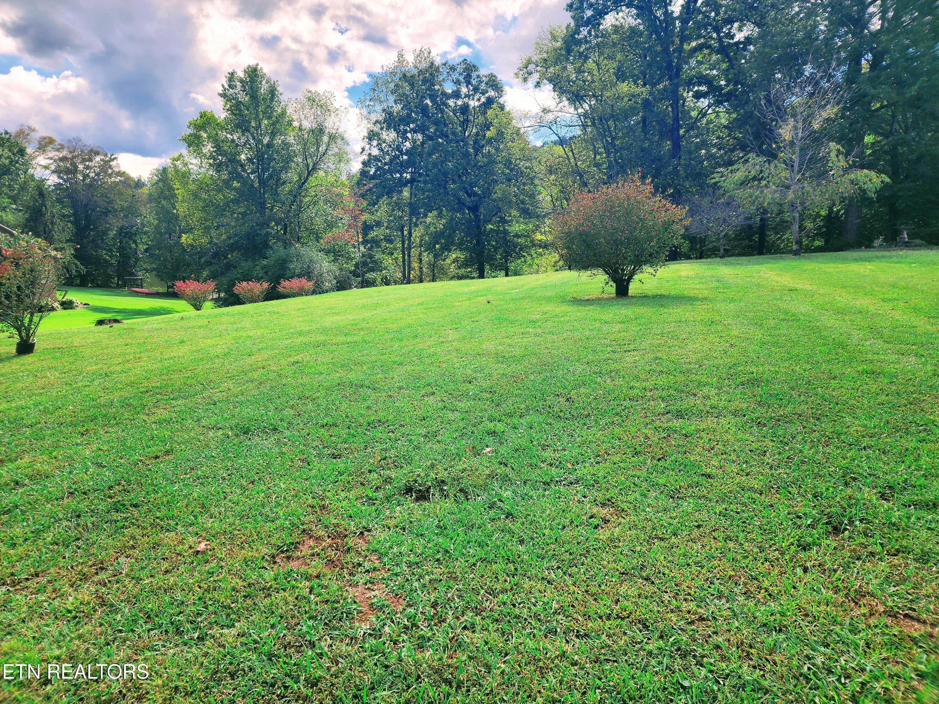 104 Azalea Circle Harriman TN 37748