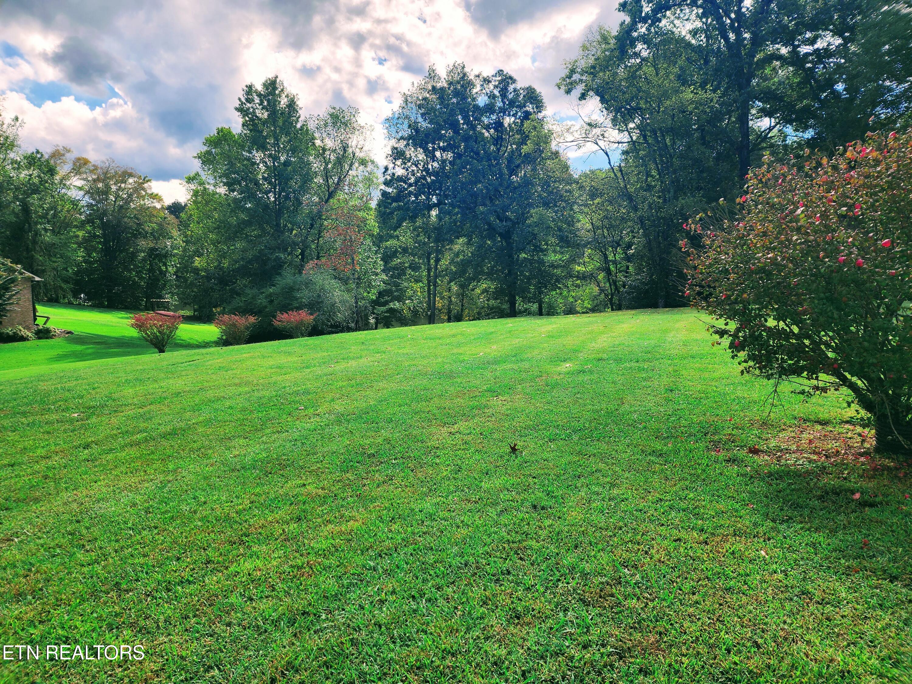 104 Azalea Circle Harriman TN 37748
