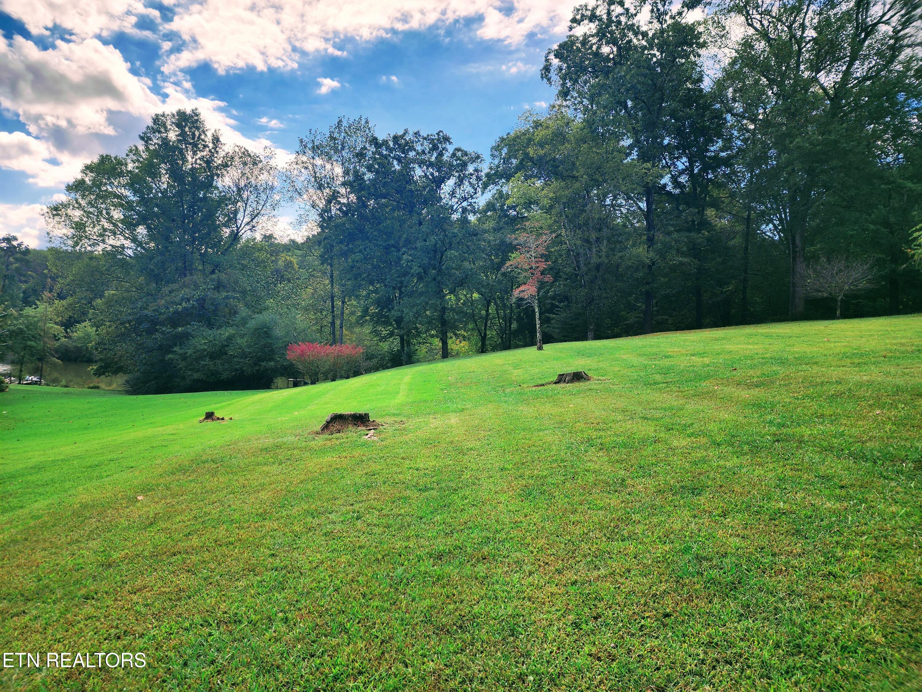 104 Azalea Circle Harriman TN 37748