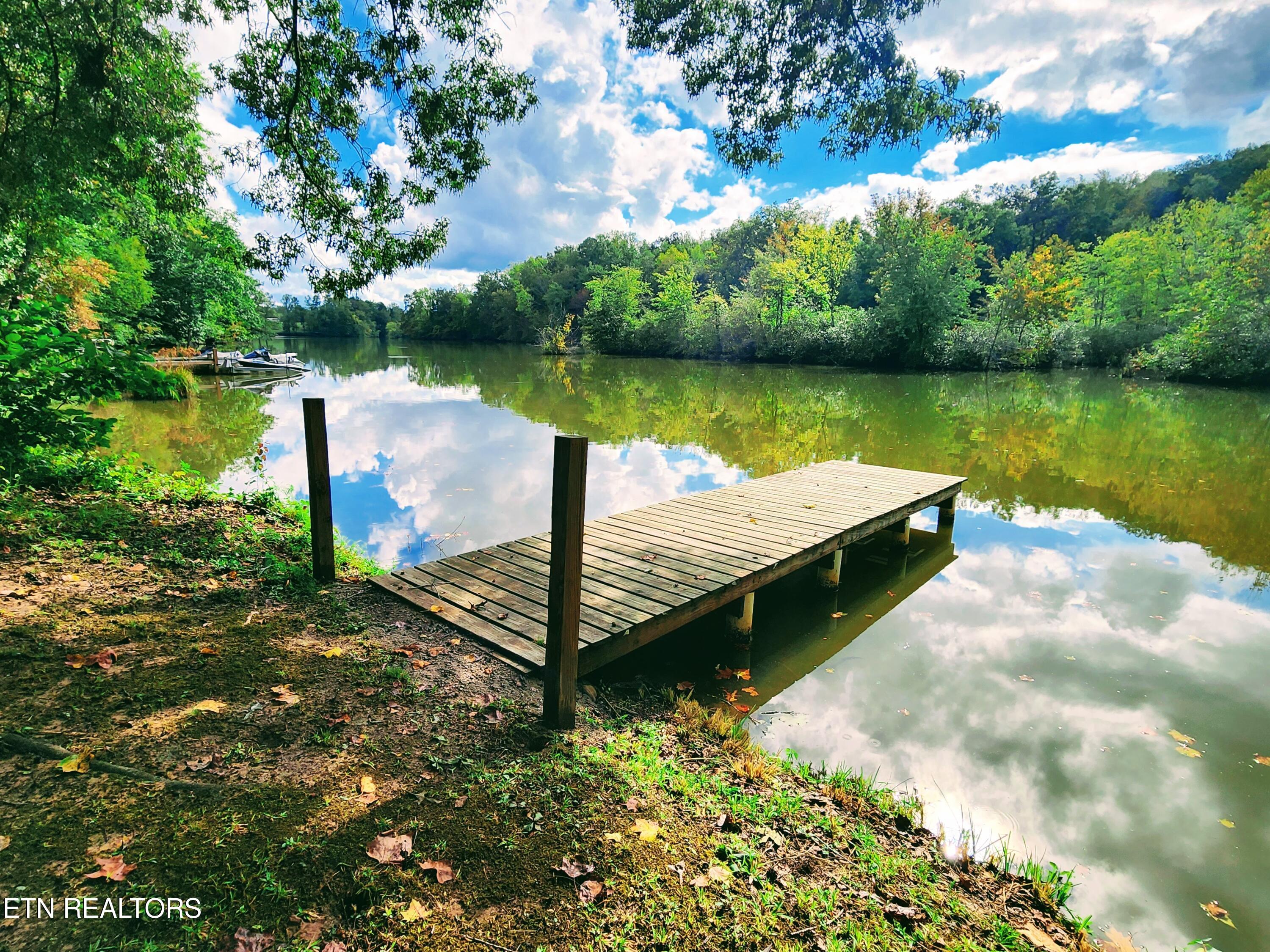 104 Azalea Circle Harriman TN 37748
