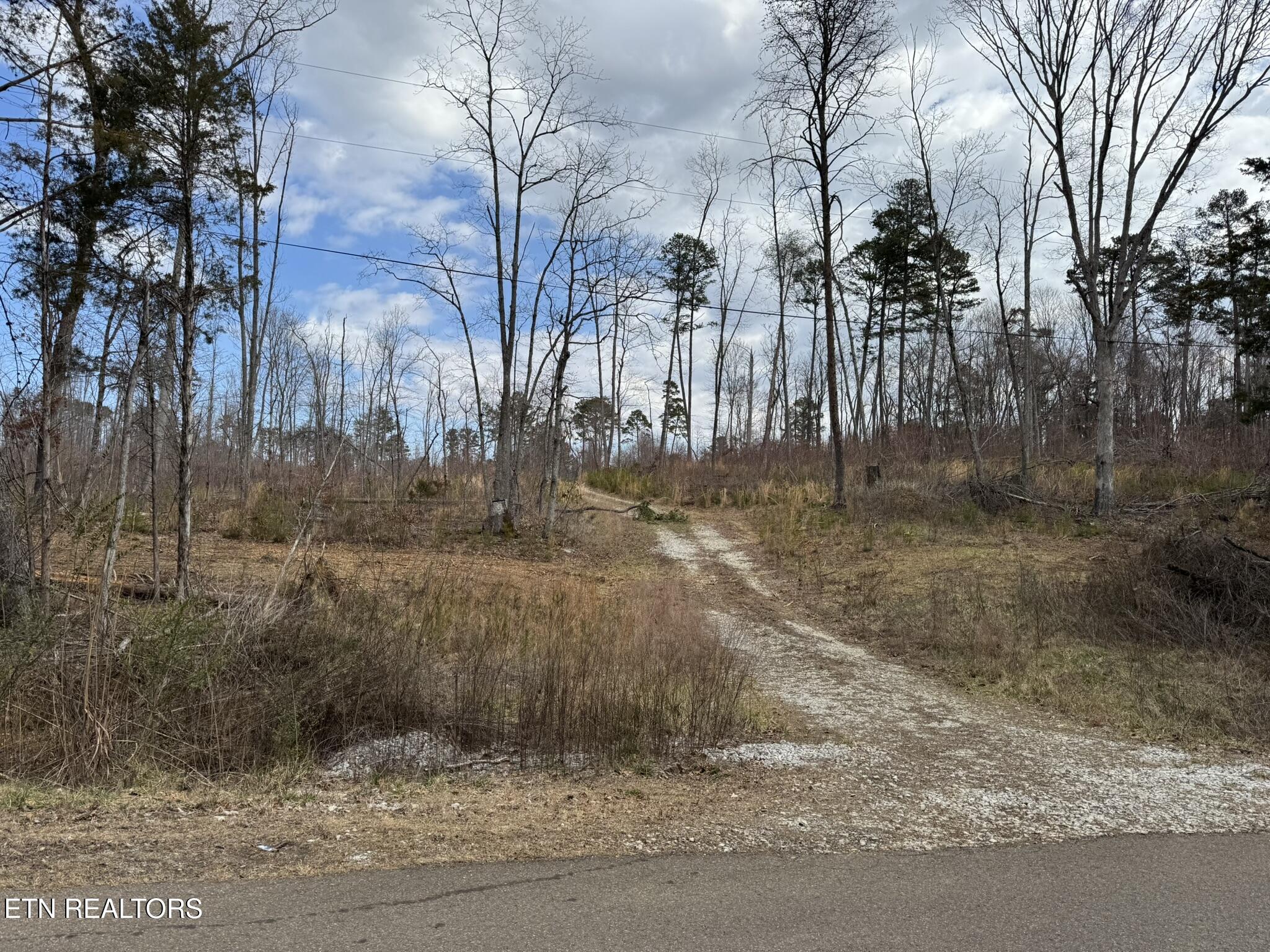 Mccubbins Road Strawberry Plains TN 37871