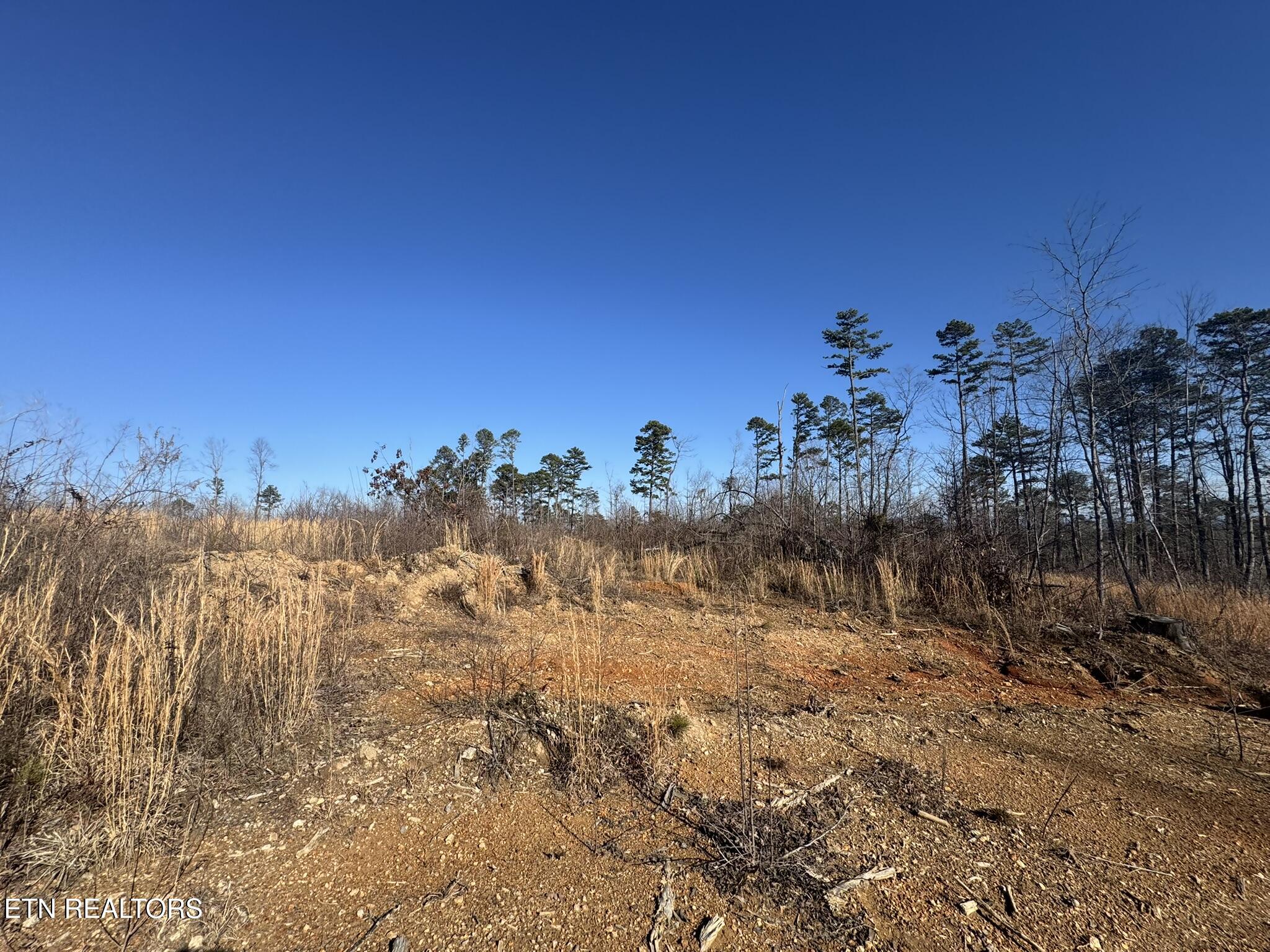 Mccubbins Road Strawberry Plains TN 37871
