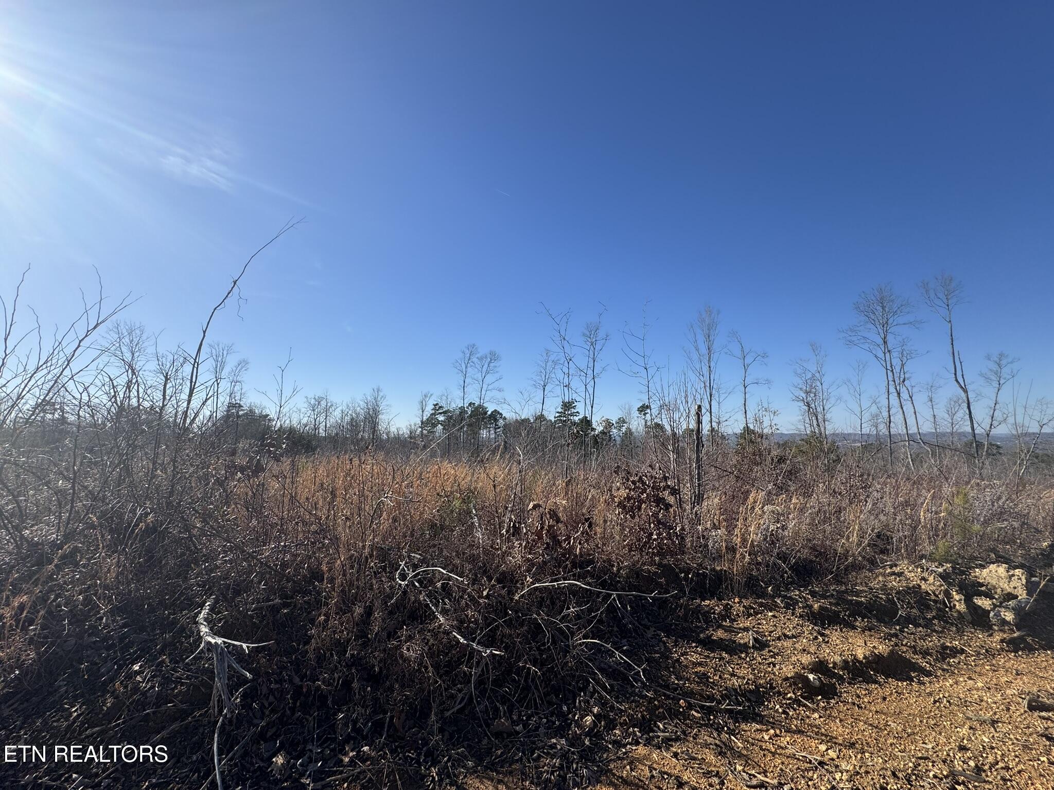 Mccubbins Road Strawberry Plains TN 37871