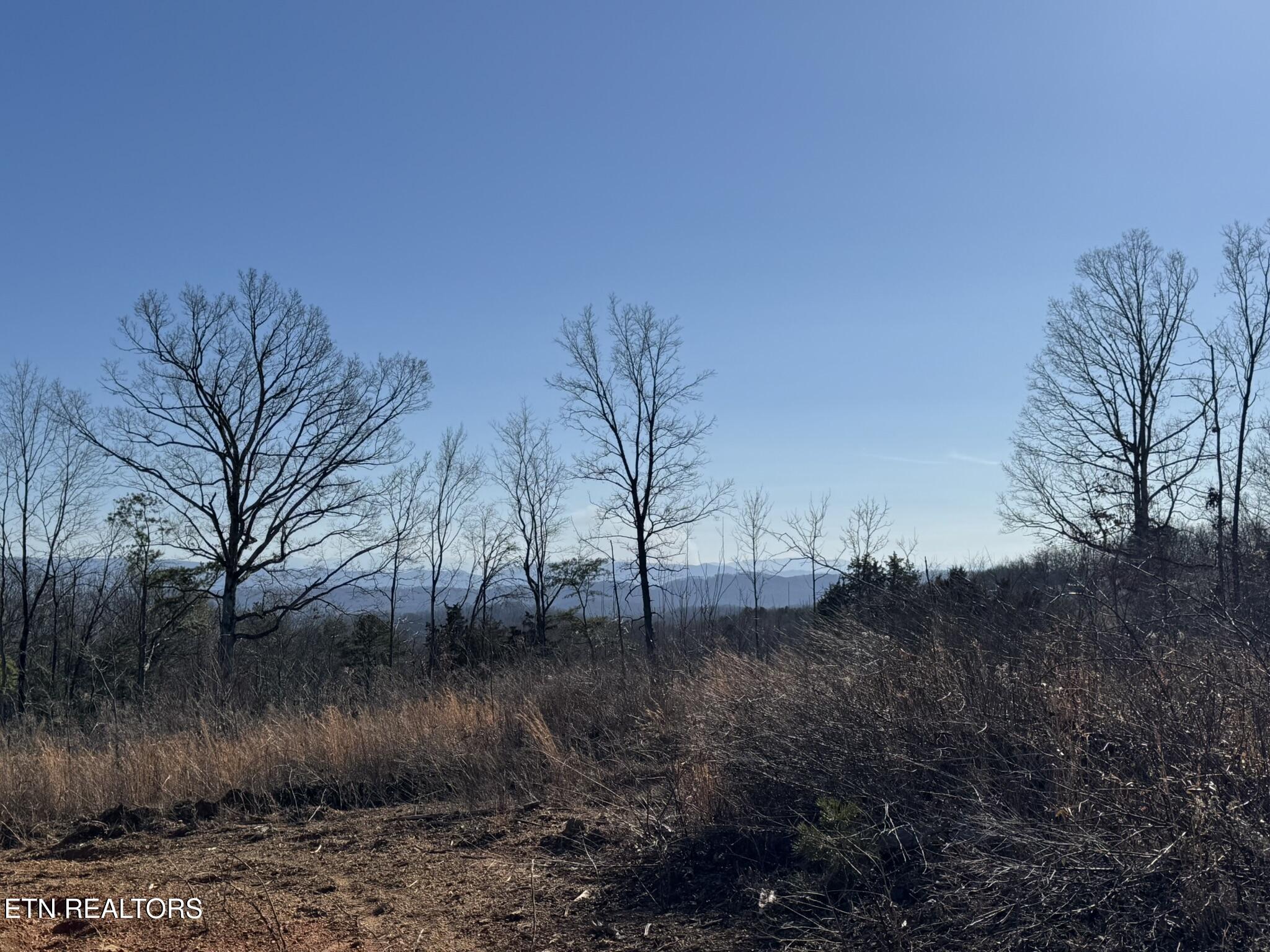 Mccubbins Road Strawberry Plains TN 37871