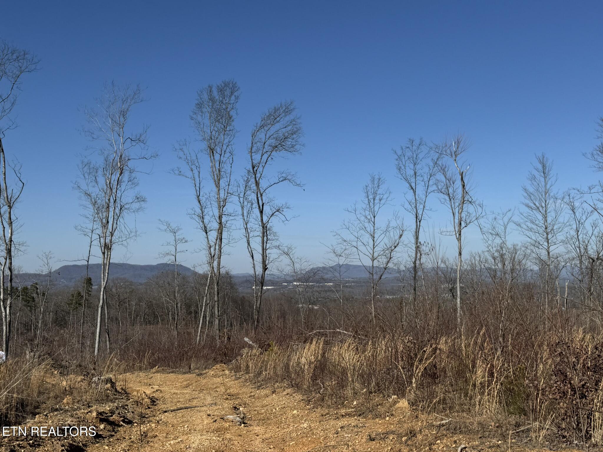Mccubbins Road Strawberry Plains TN 37871