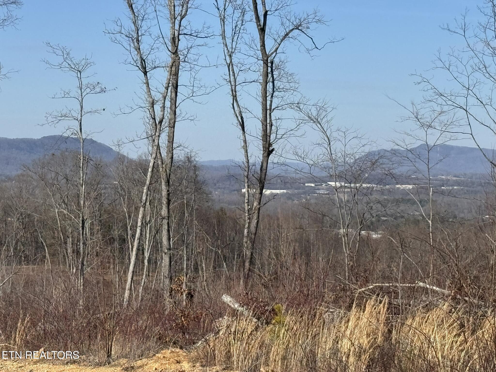 Mccubbins Road Strawberry Plains TN 37871