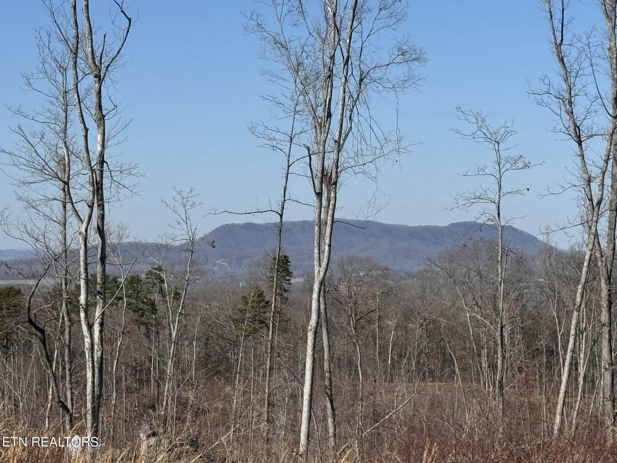 Mccubbins Road Strawberry Plains TN 37871