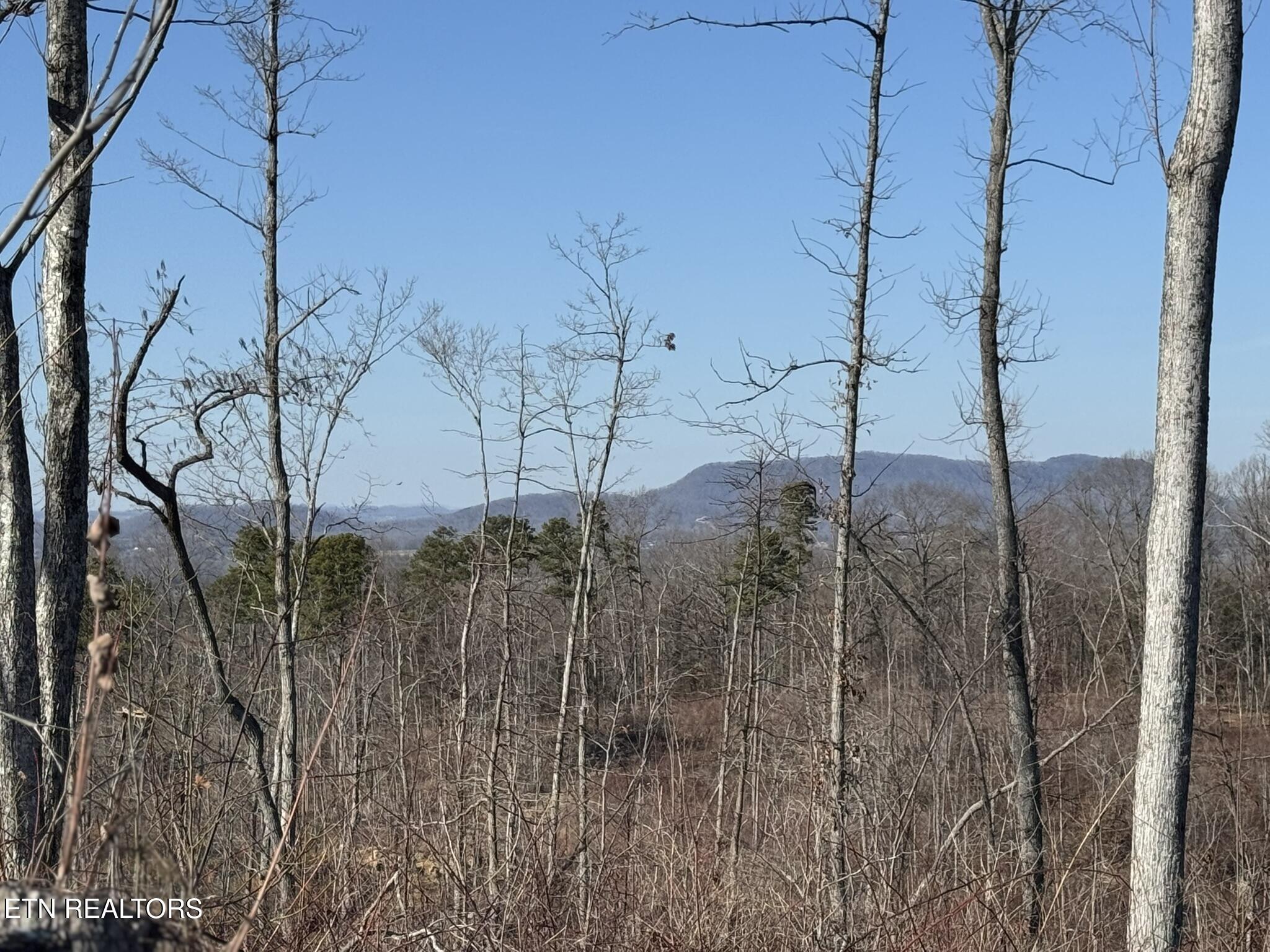 Mccubbins Road Strawberry Plains TN 37871
