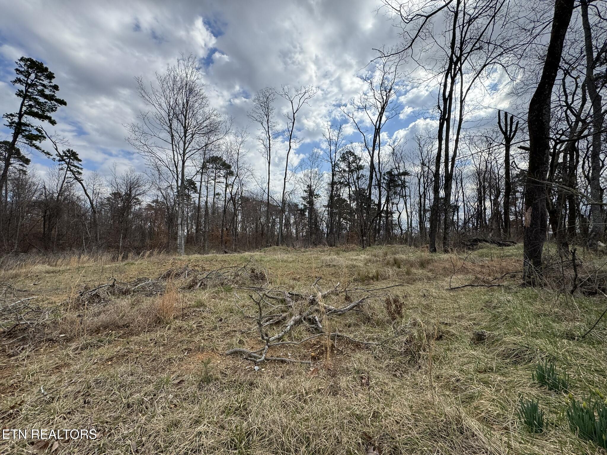 Mccubbins Road Strawberry Plains TN 37871