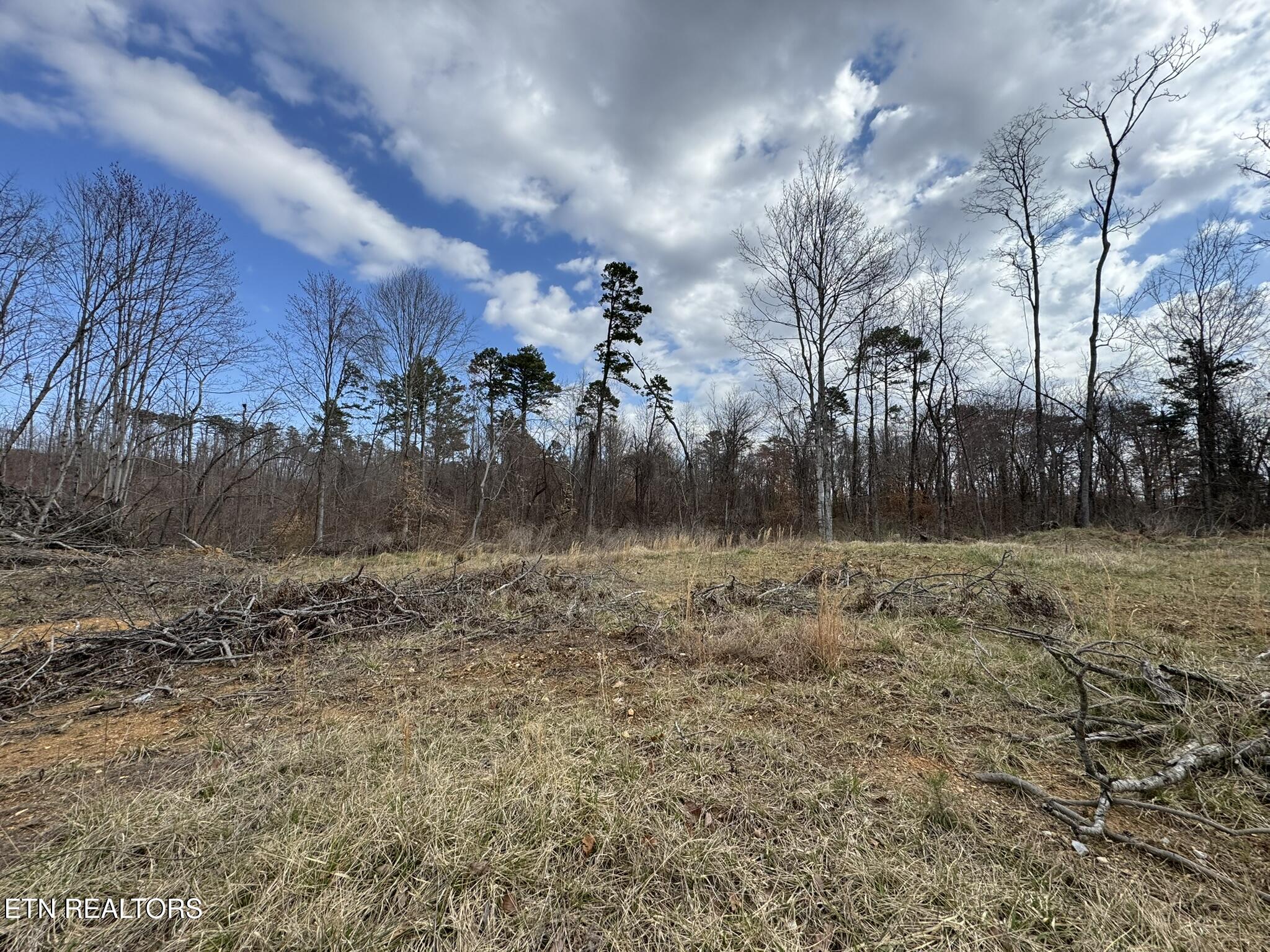 Mccubbins Road Strawberry Plains TN 37871