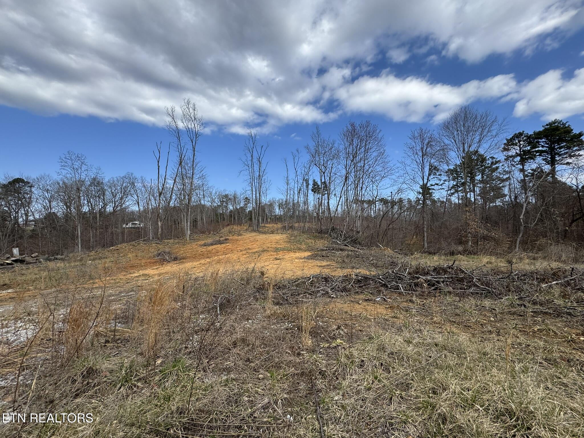 Mccubbins Road Strawberry Plains TN 37871