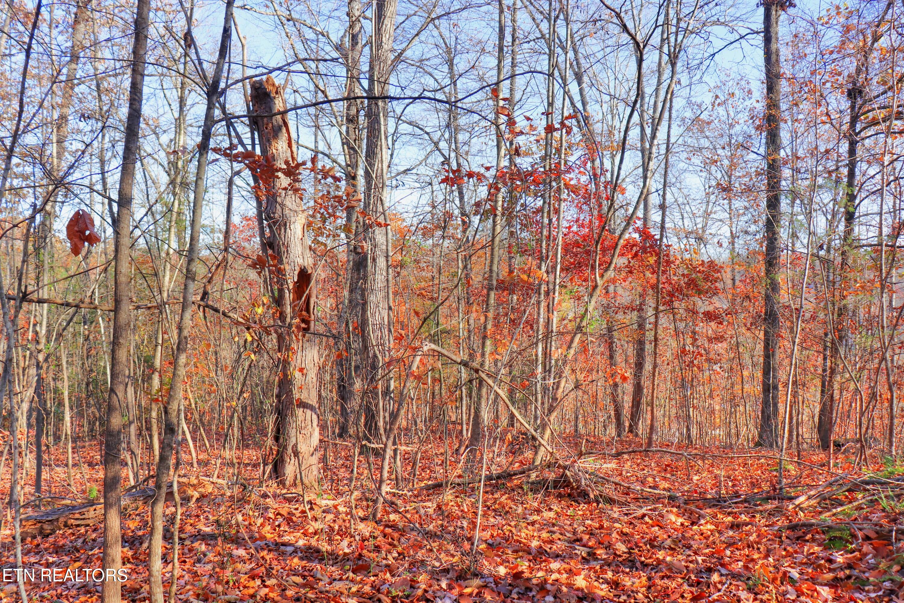 Lot 190 Hickory Way Lafollette TN 37766