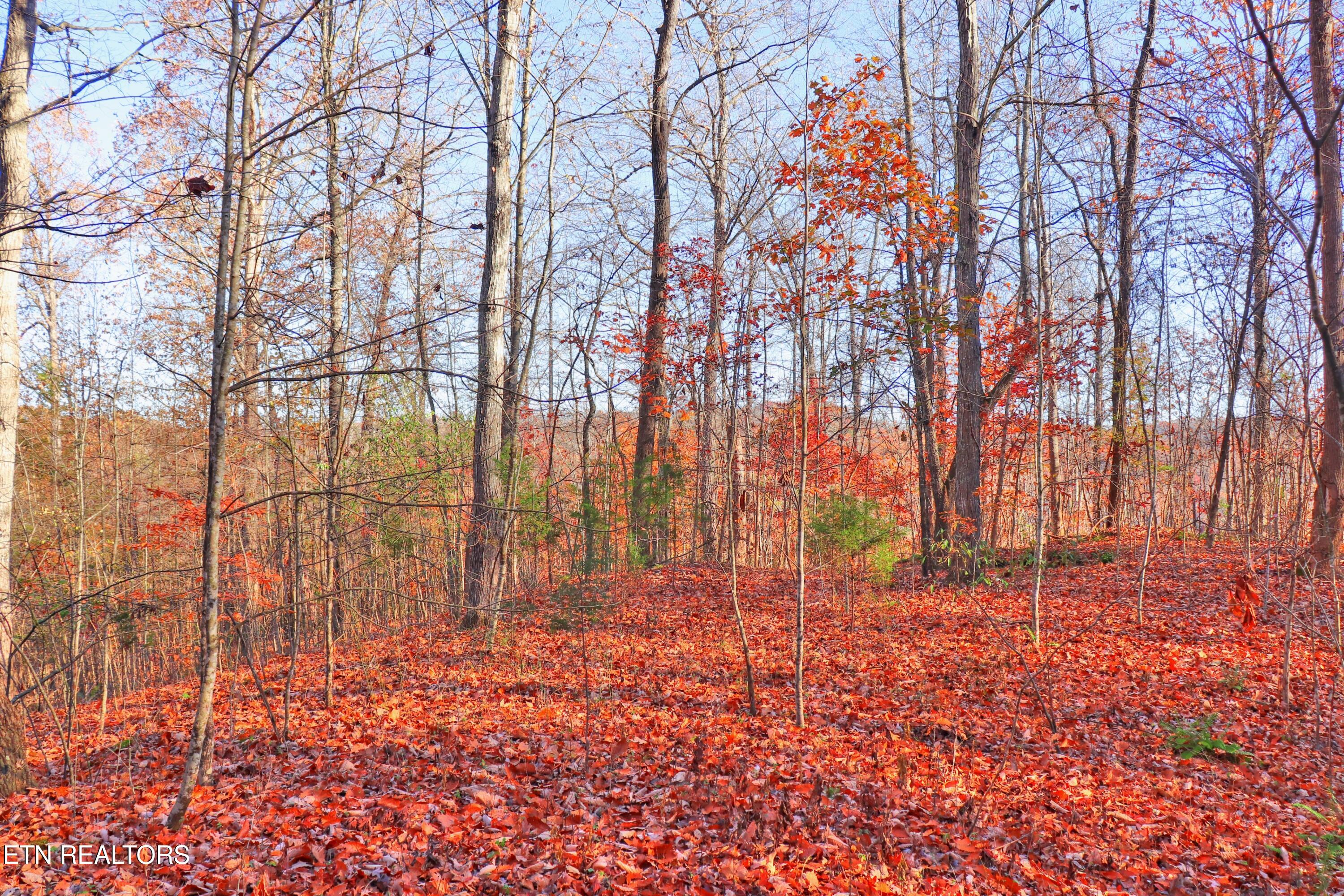 Lot 190 Hickory Way Lafollette TN 37766
