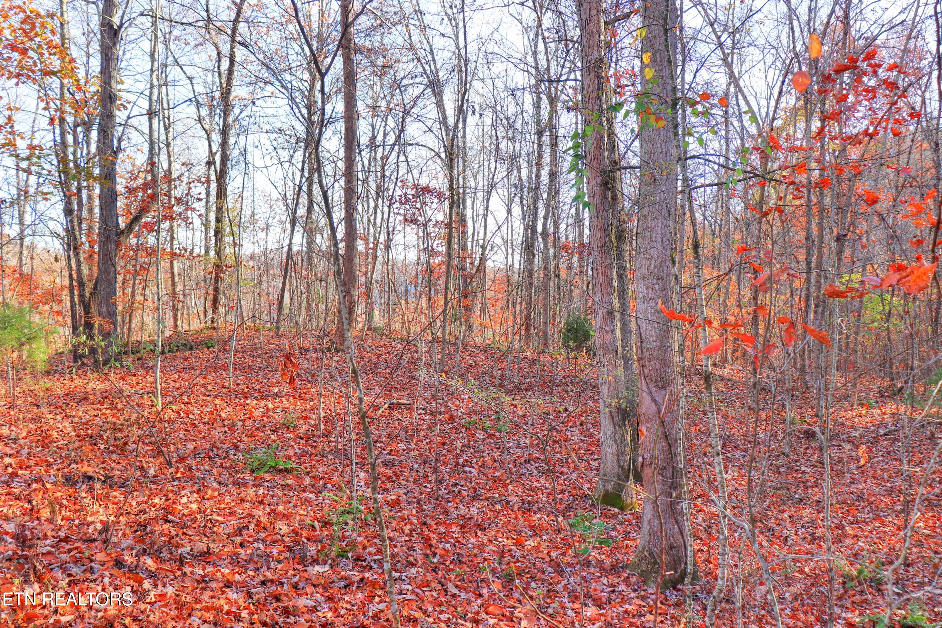 Lot 190 Hickory Way Lafollette TN 37766