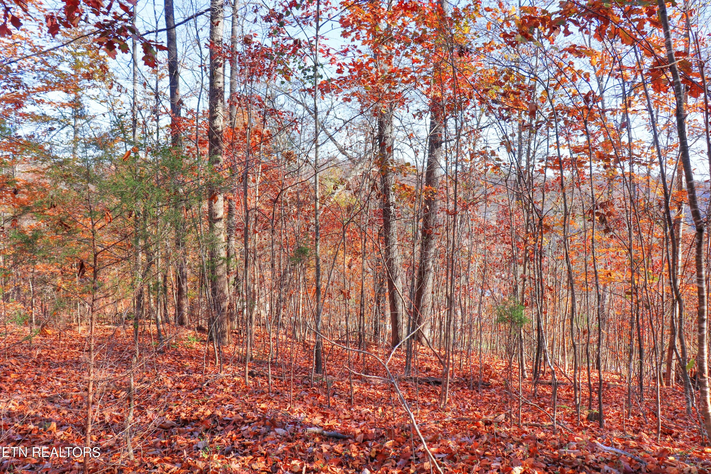 Lot 190 Hickory Way Lafollette TN 37766