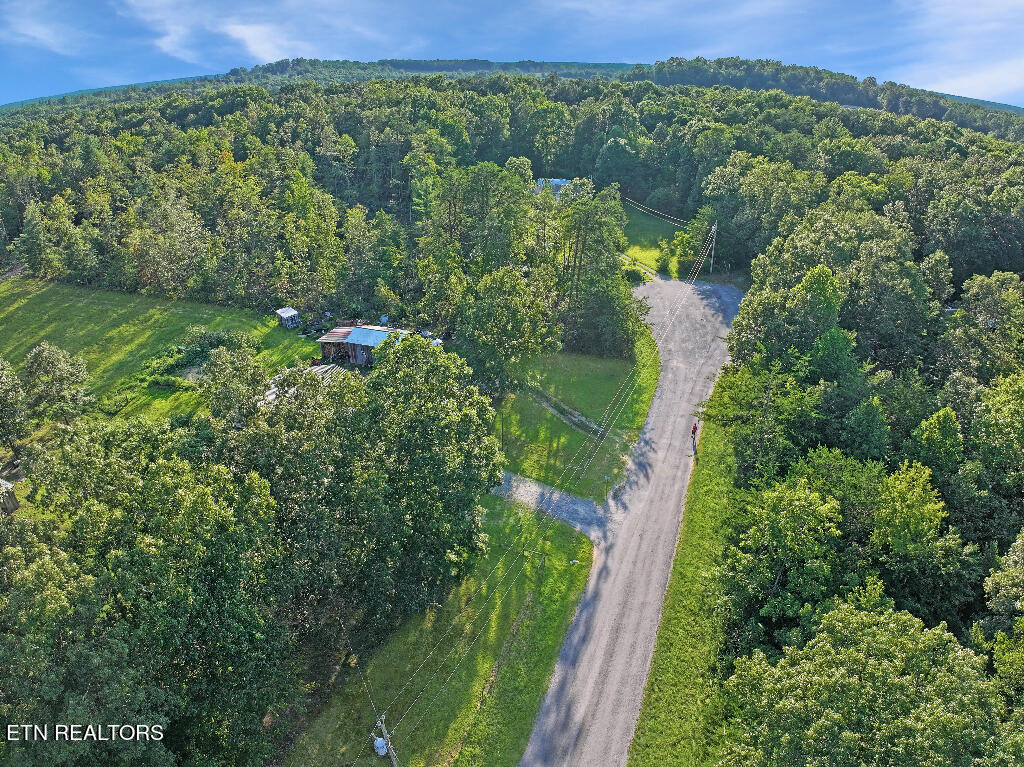 0 Susan Circle Deer Lodge TN 37726