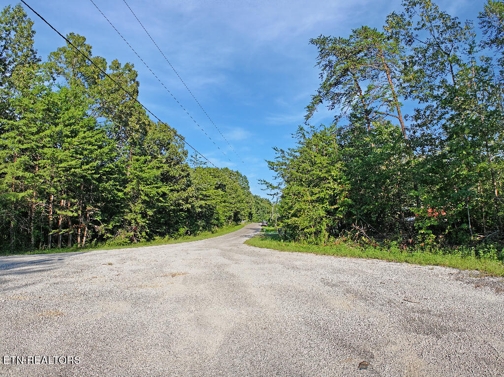 0 Susan Circle Deer Lodge TN 37726