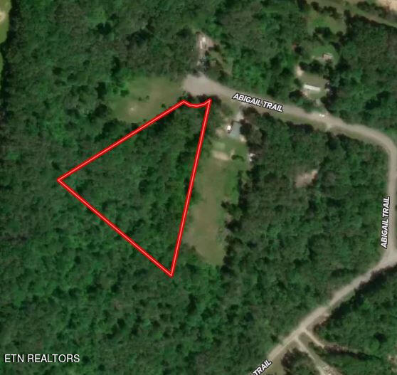 0 Susan Circle Deer Lodge TN 37726