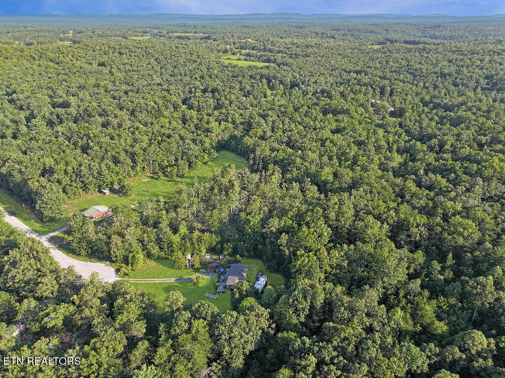 0 Susan Circle Deer Lodge TN 37726