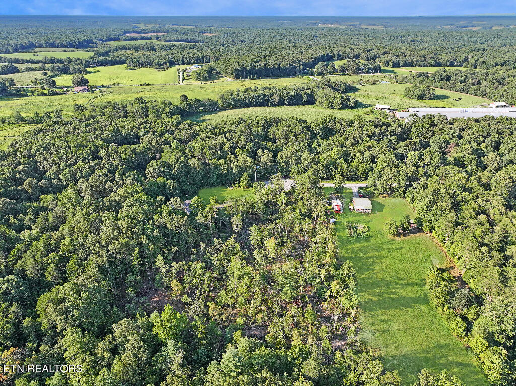 0 Susan Circle Deer Lodge TN 37726
