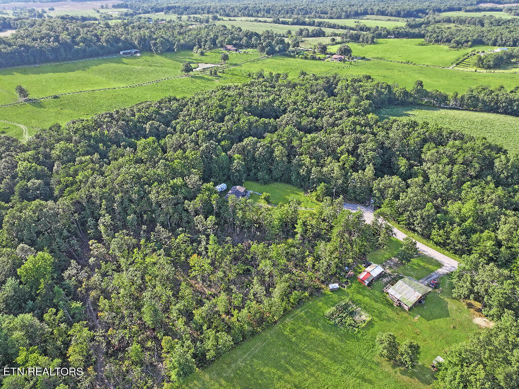 0 Susan Circle Deer Lodge TN 37726