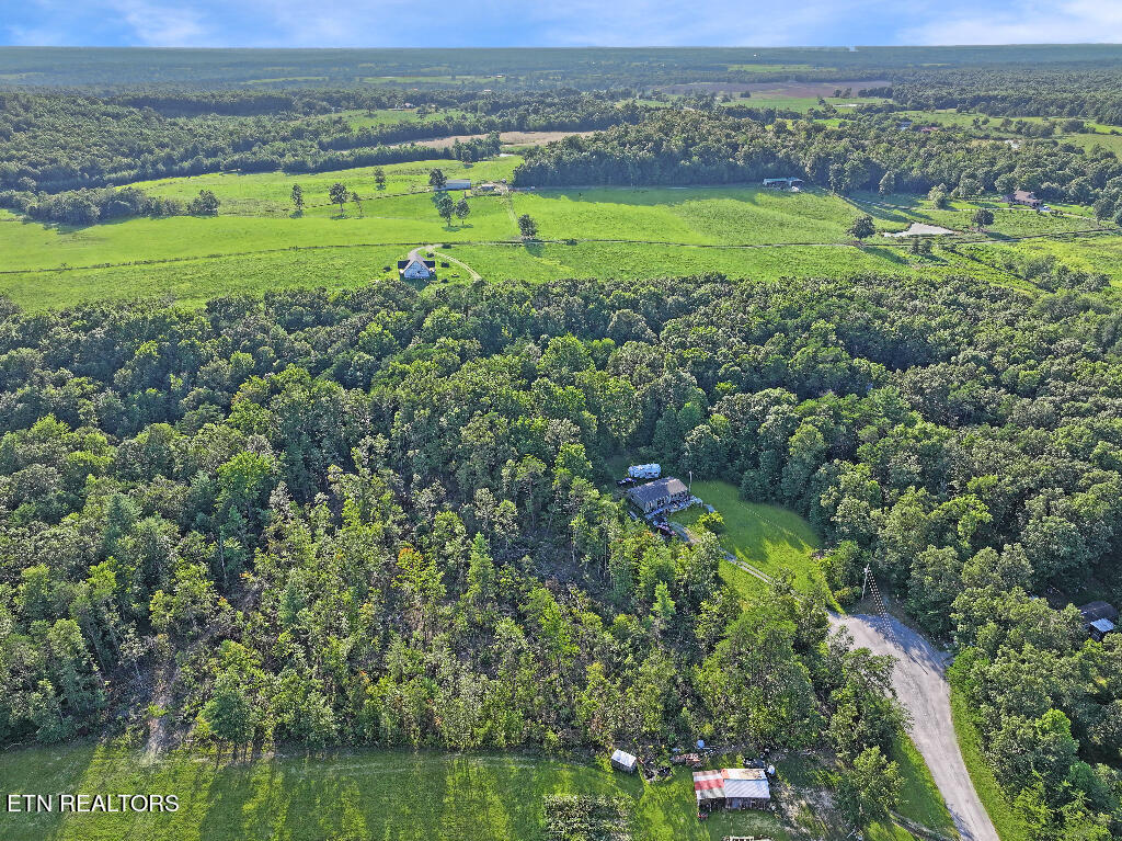 0 Susan Circle Deer Lodge TN 37726