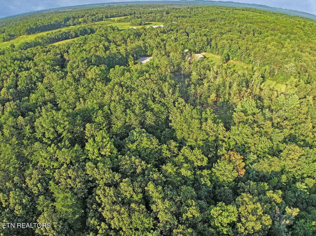 0 Susan Circle Deer Lodge TN 37726