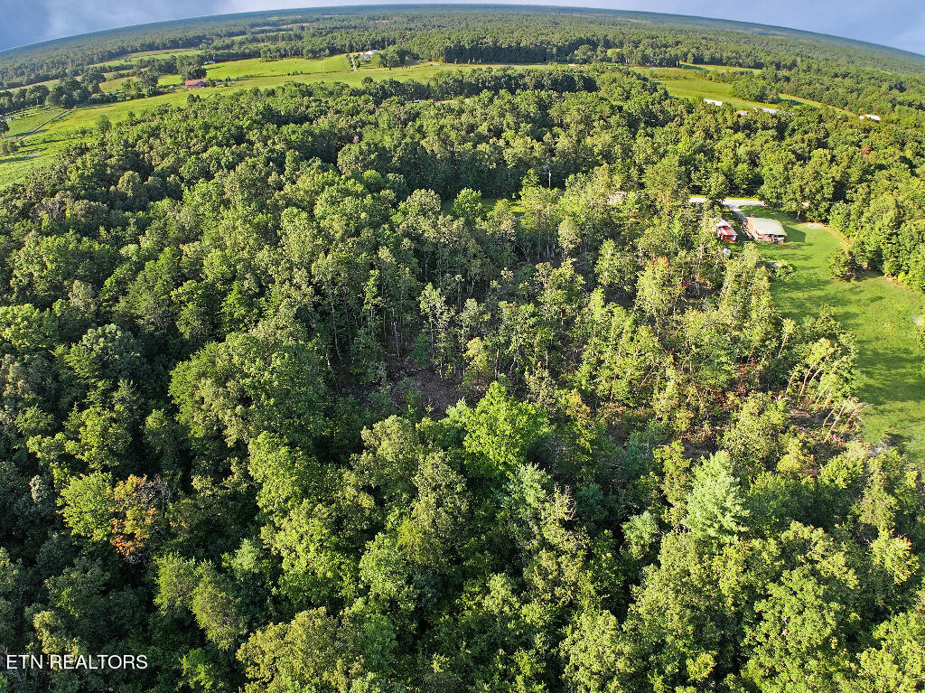 0 Susan Circle Deer Lodge TN 37726