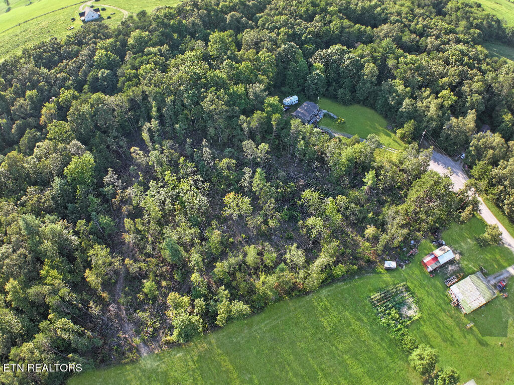 0 Susan Circle Deer Lodge TN 37726