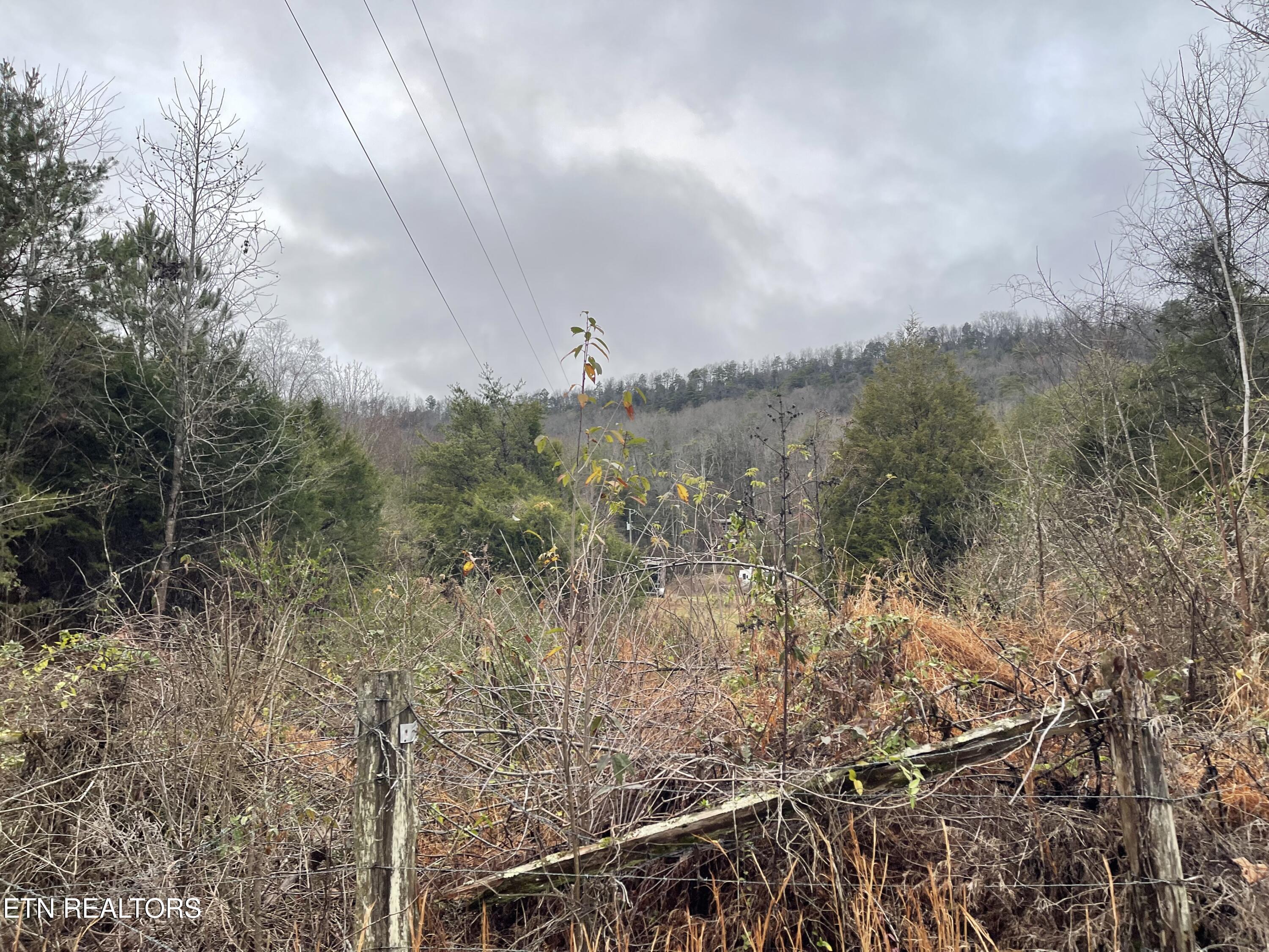 Reagan Valley Road Tellico Plains TN 37385