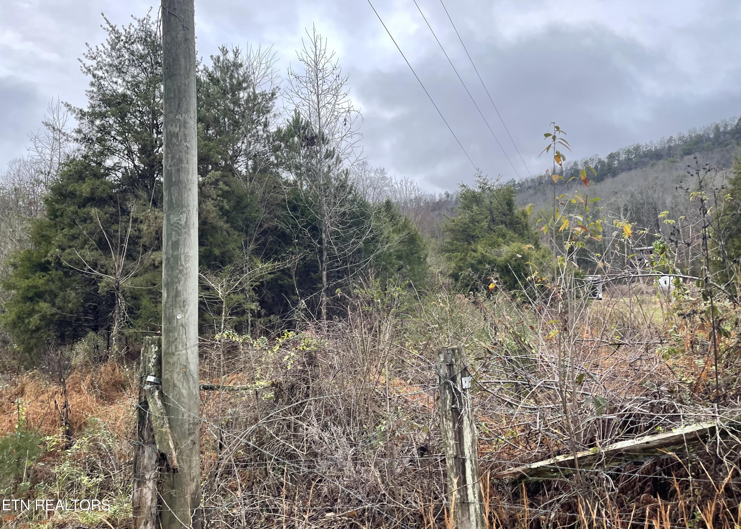 Reagan Valley Road Tellico Plains TN 37385