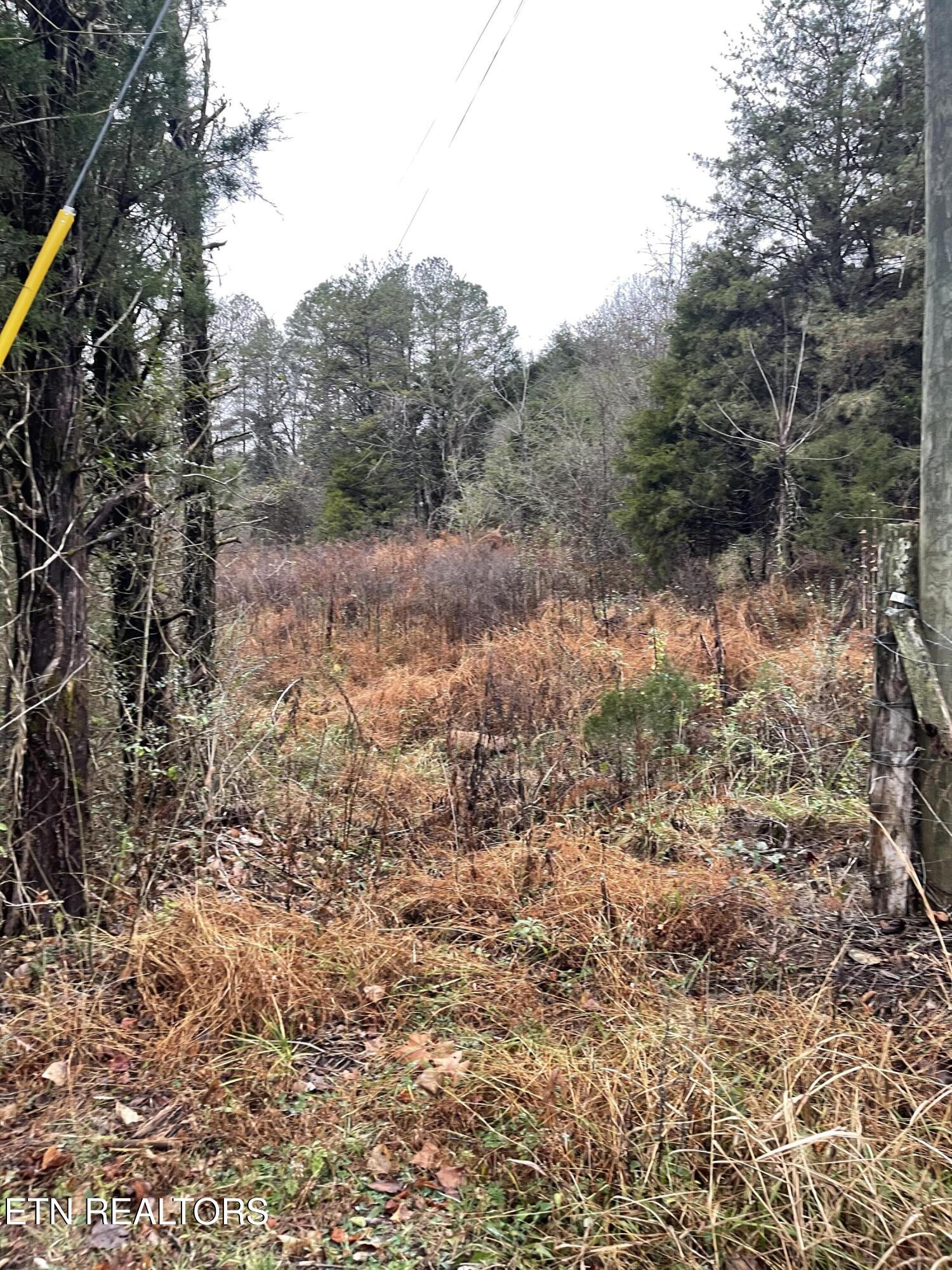 Reagan Valley Road Tellico Plains TN 37385