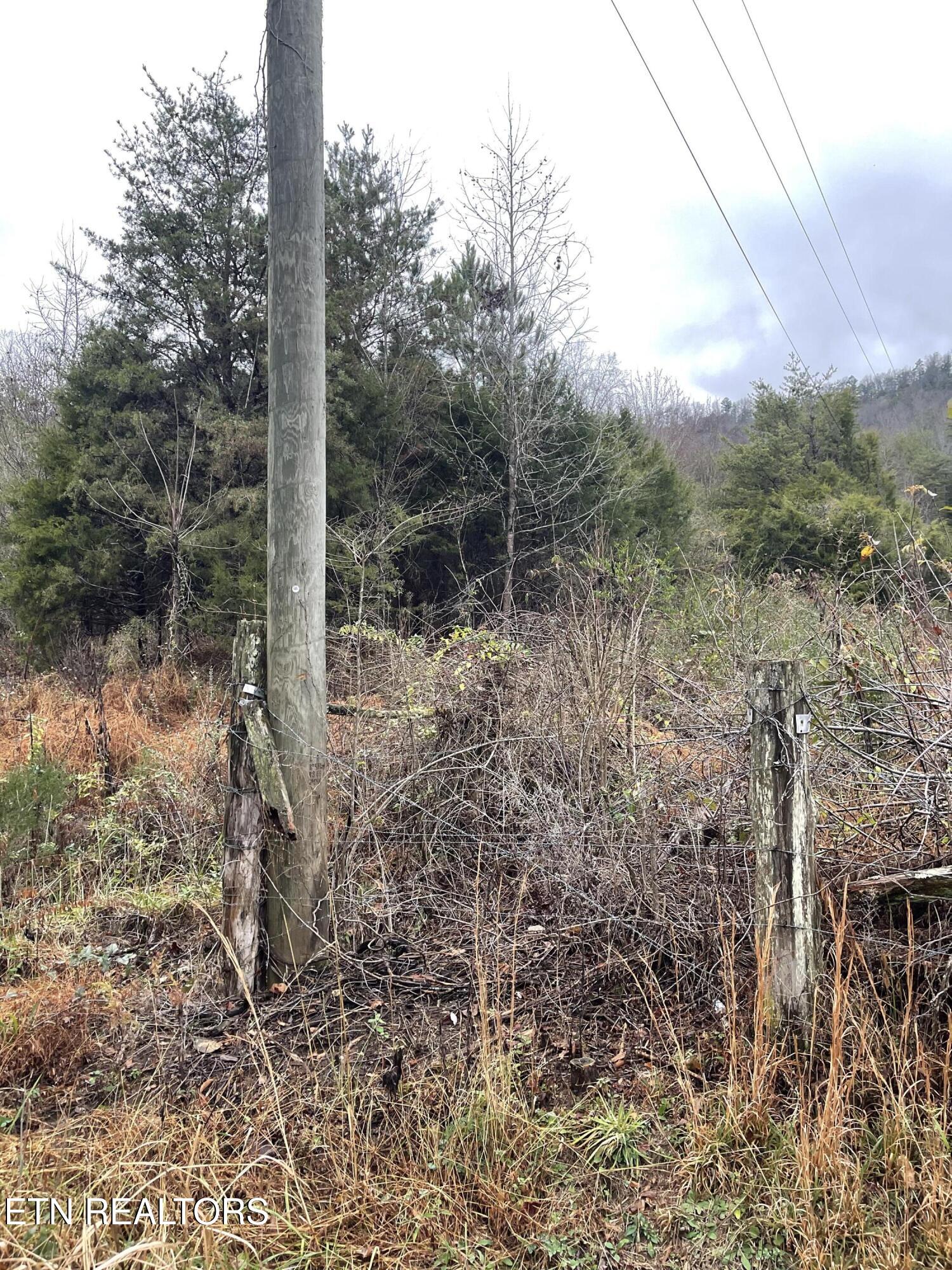 Reagan Valley Road Tellico Plains TN 37385