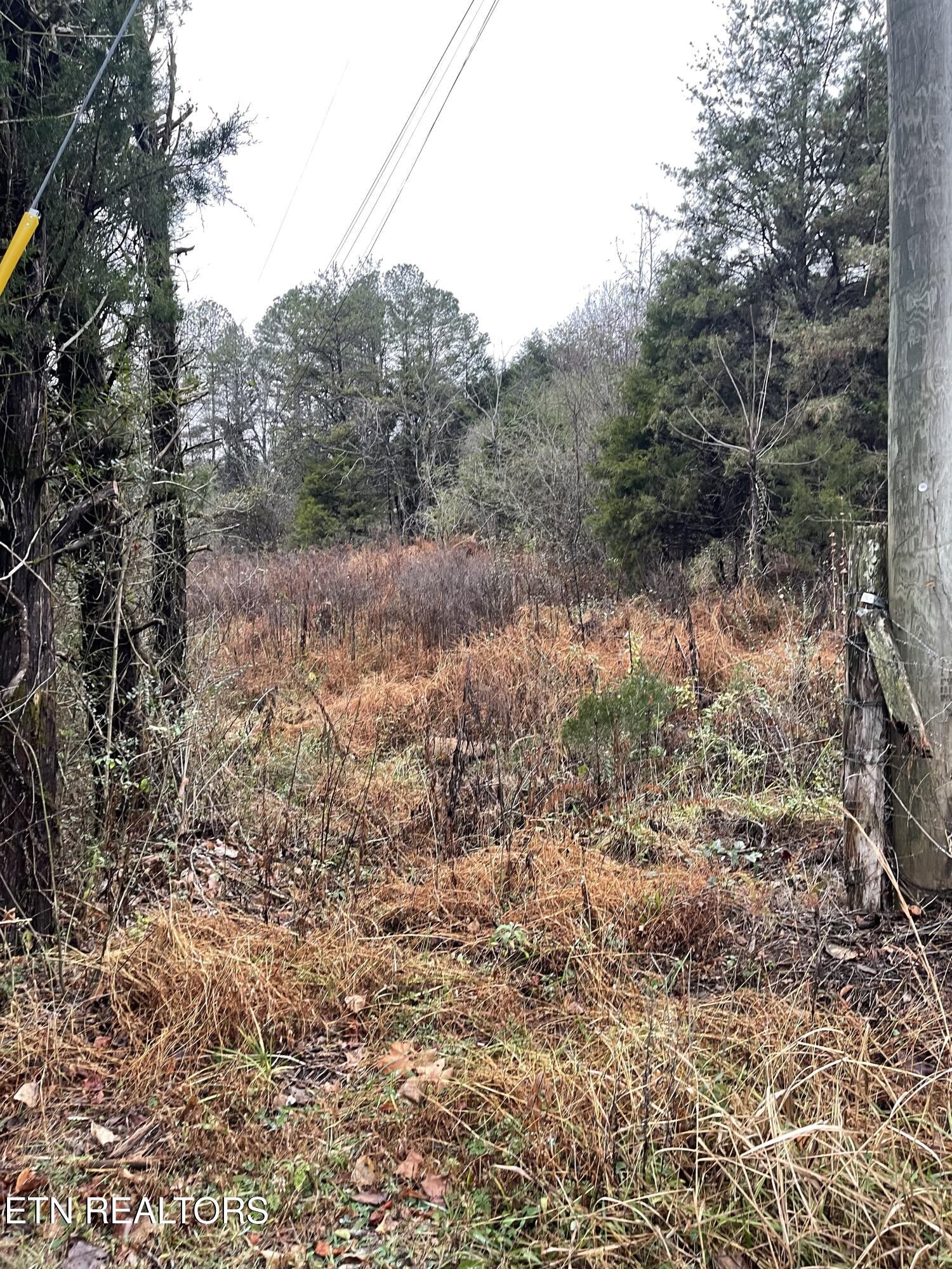 Reagan Valley Road Tellico Plains TN 37385