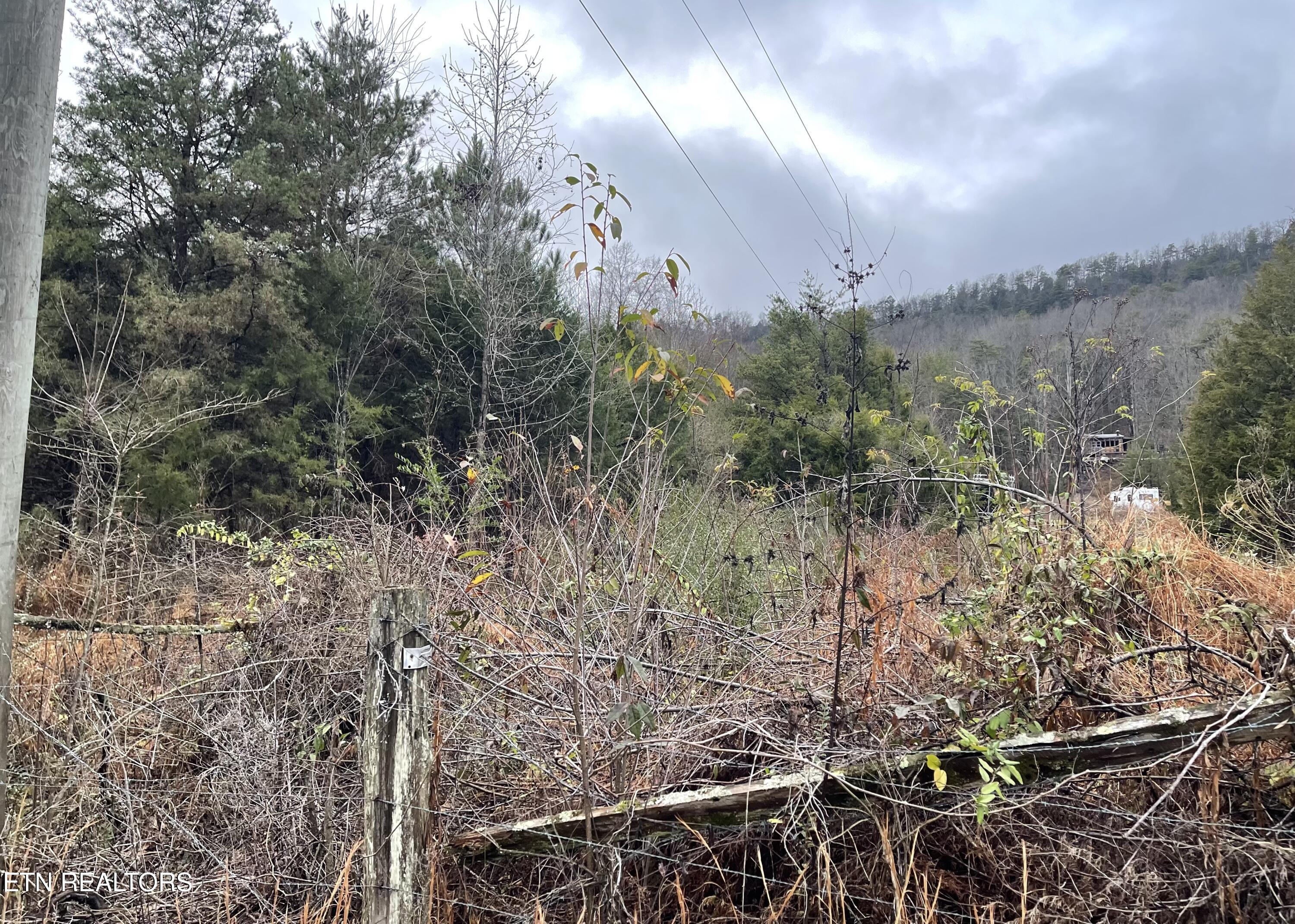 Reagan Valley Road Tellico Plains TN 37385